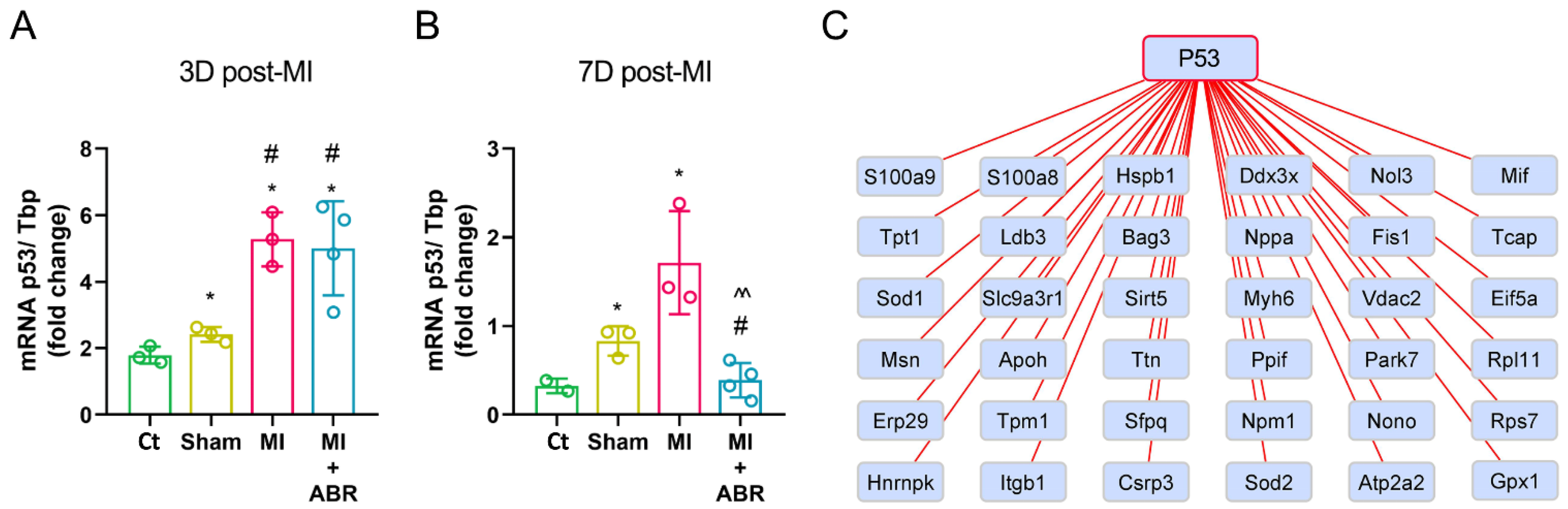 Ijms 23 05289 g006 Ijms 23 05289 g006
