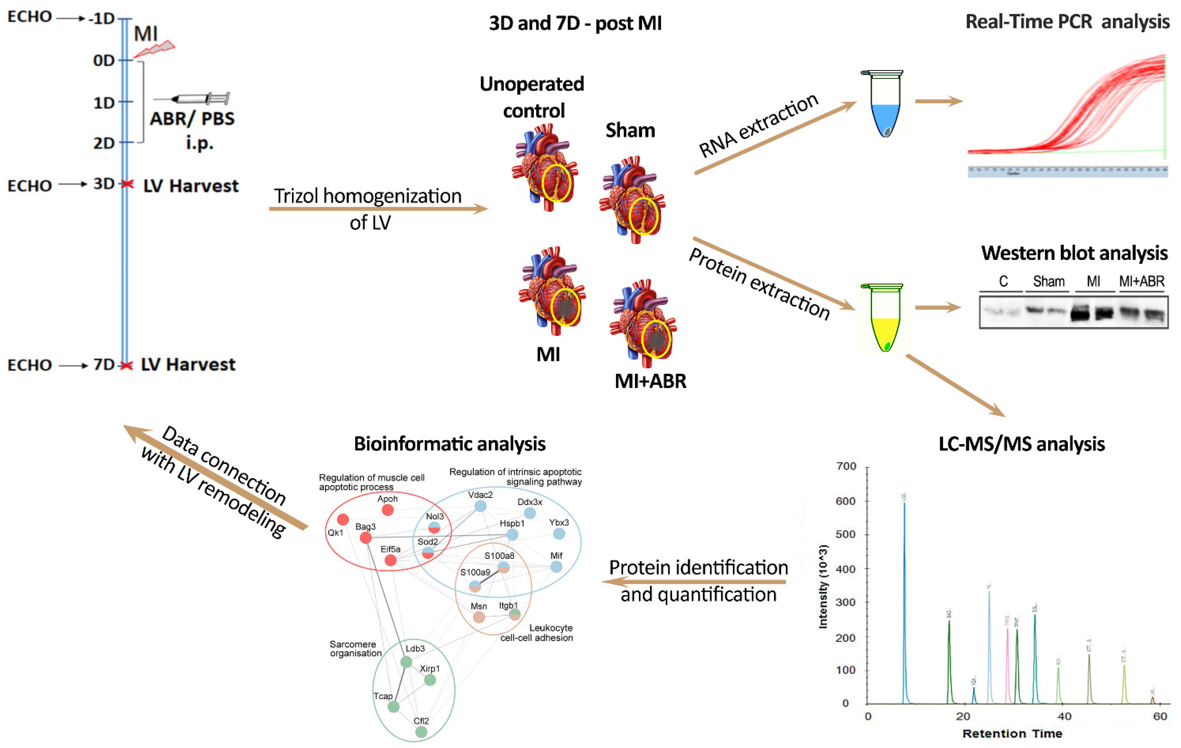 Ijms 23 05289 g008 Ijms 23 05289 g008