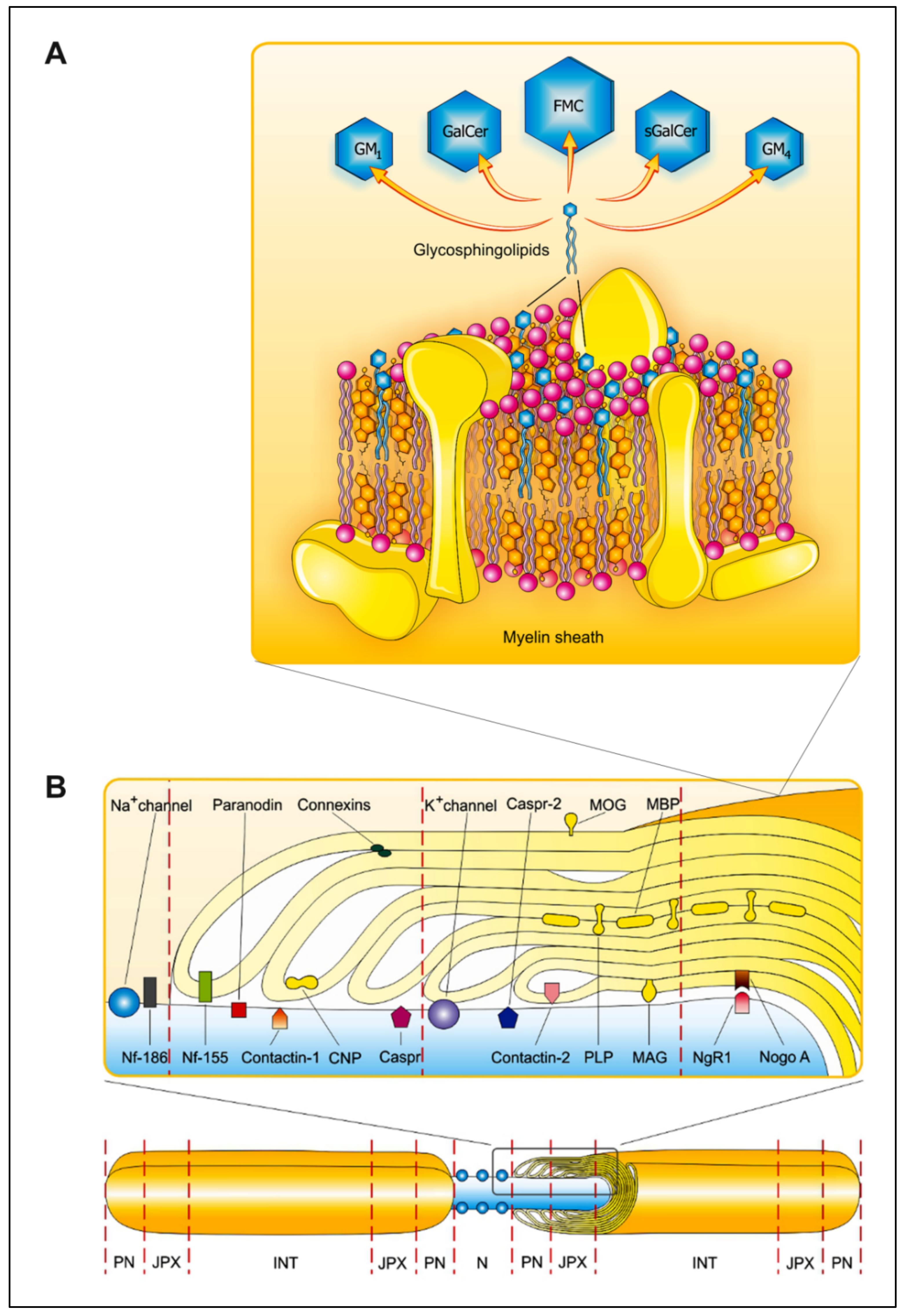 Ijms 23 05330 g001 Ijms 23 05330 g001