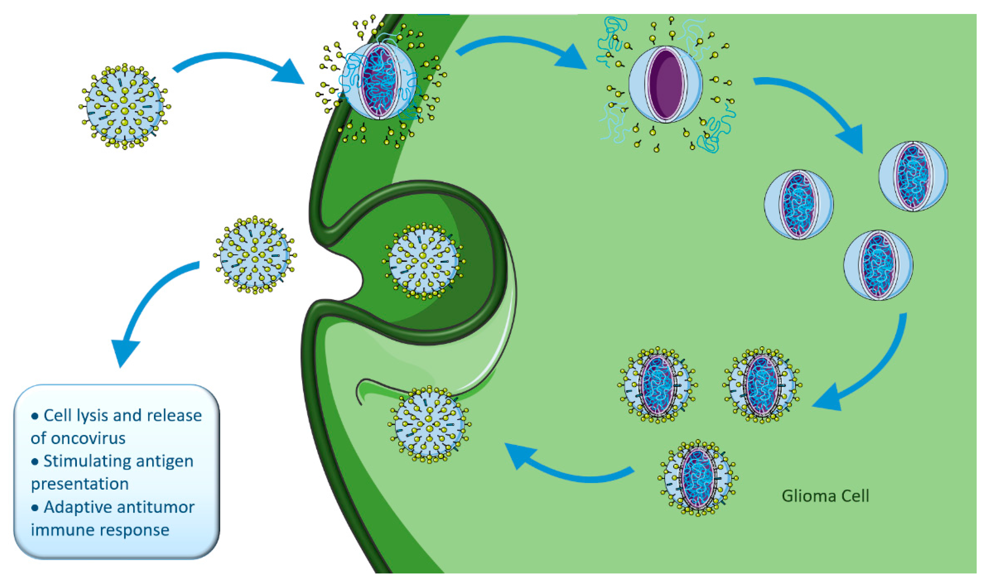 Ijms 23 05351 g008 Ijms 23 05351 g008