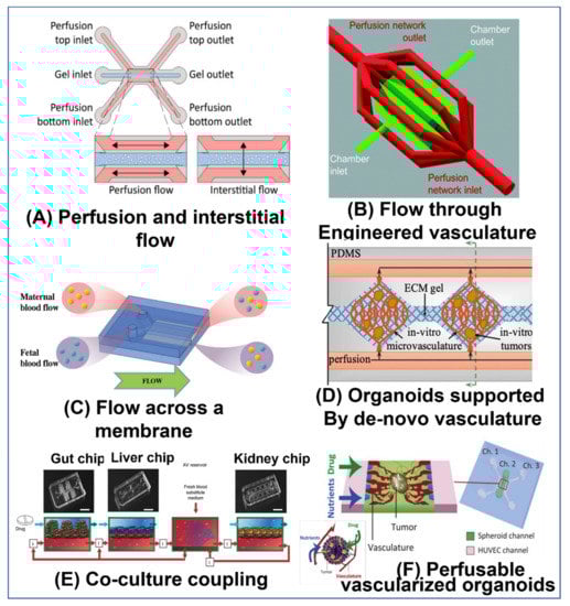 Ijms 23 05402 g004 550
