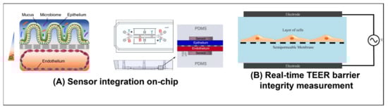 Ijms 23 05402 g005 550