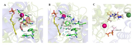 Ijms 23 05424 g009 550