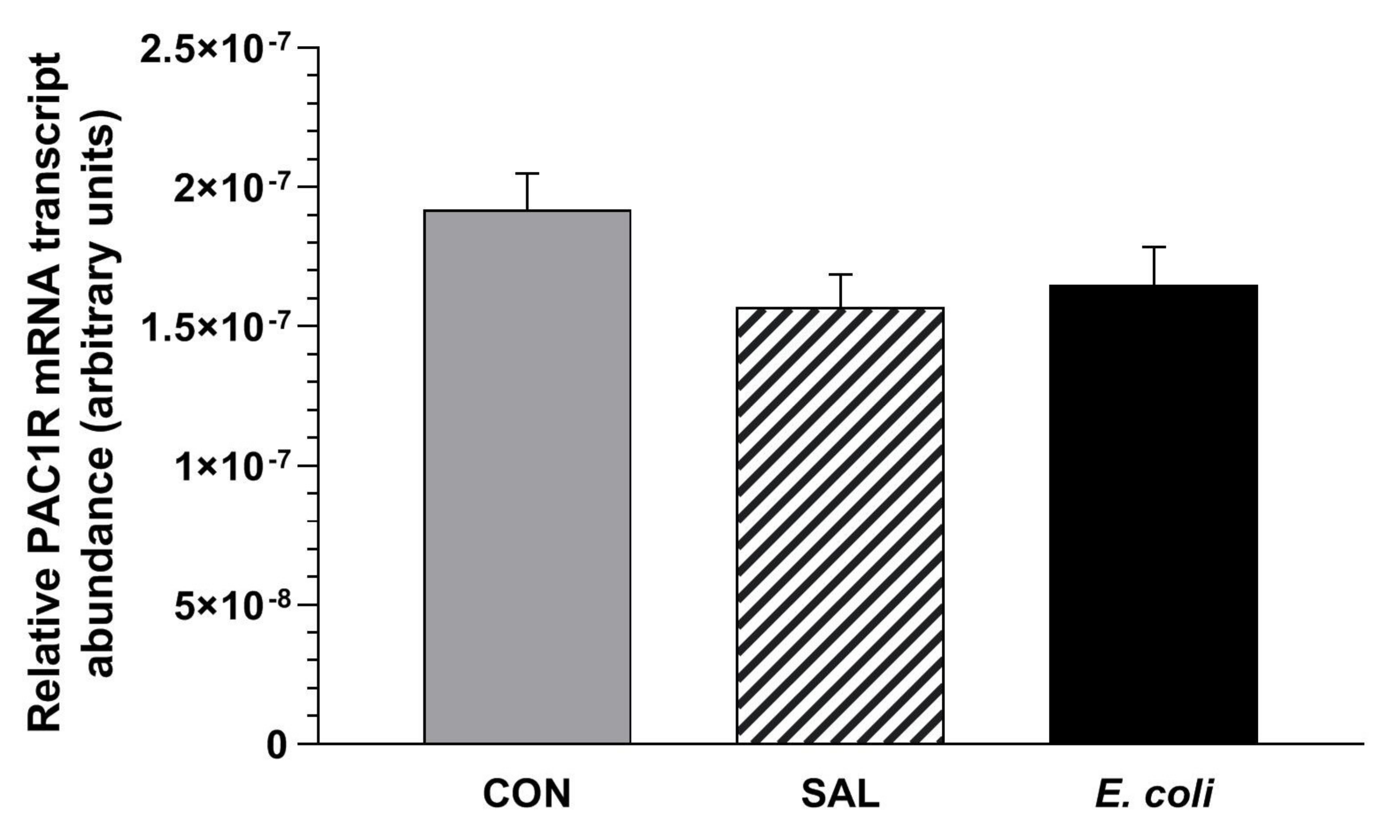 Ijms 23 05467 g001 Ijms 23 05467 g001