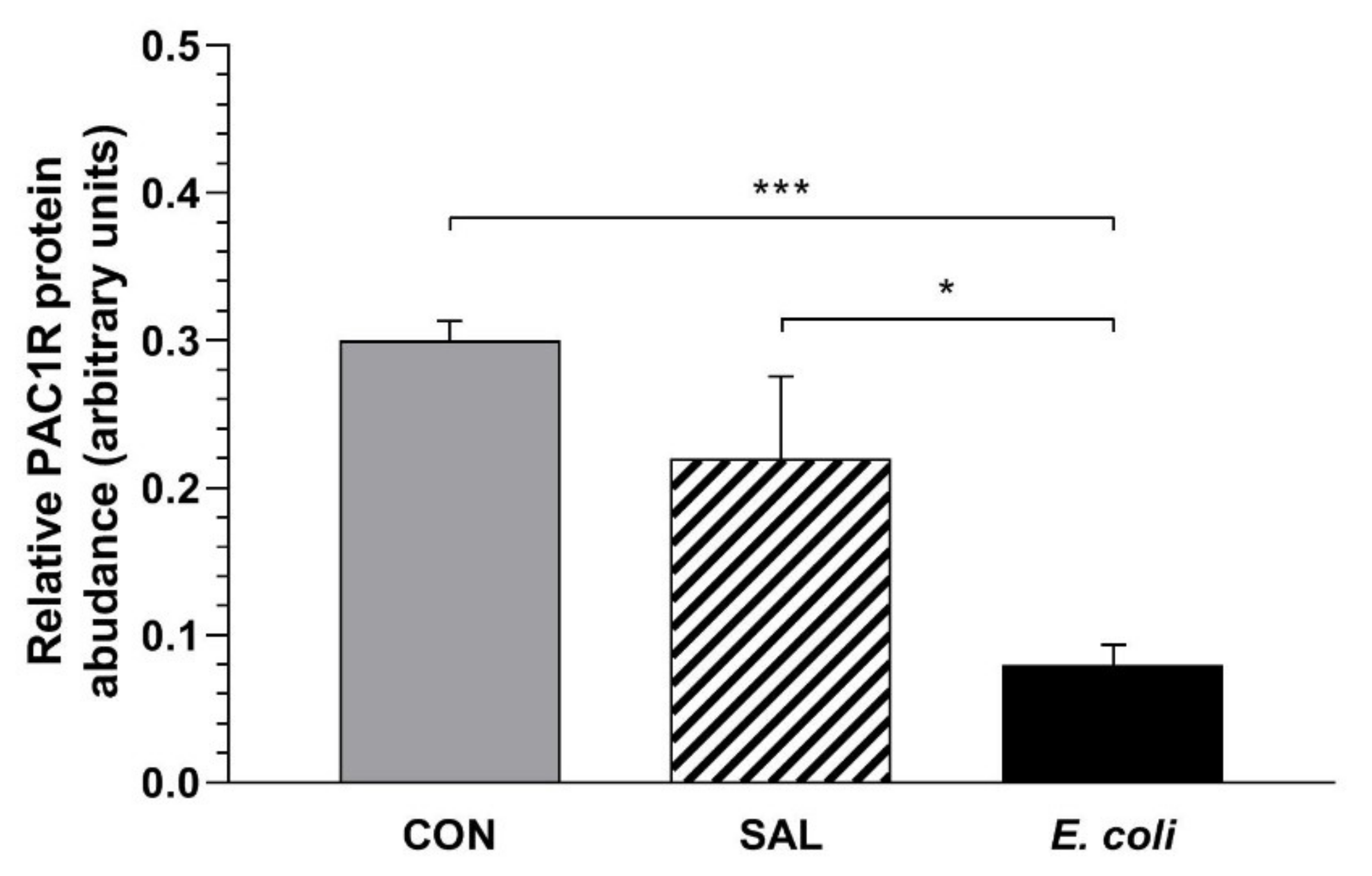 Ijms 23 05467 g002 Ijms 23 05467 g002