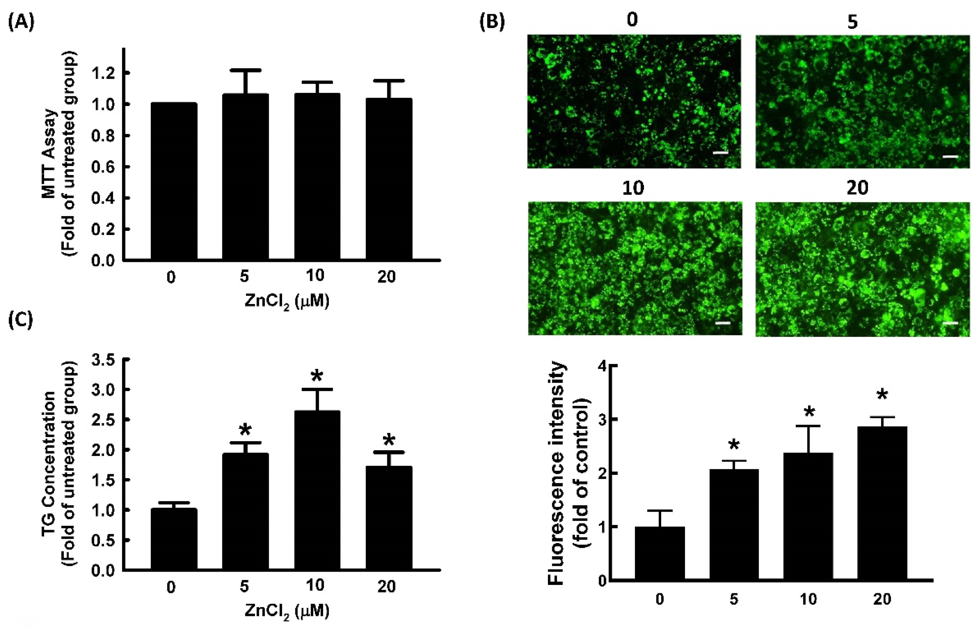 Ijms 23 05488 g001 Ijms 23 05488 g001