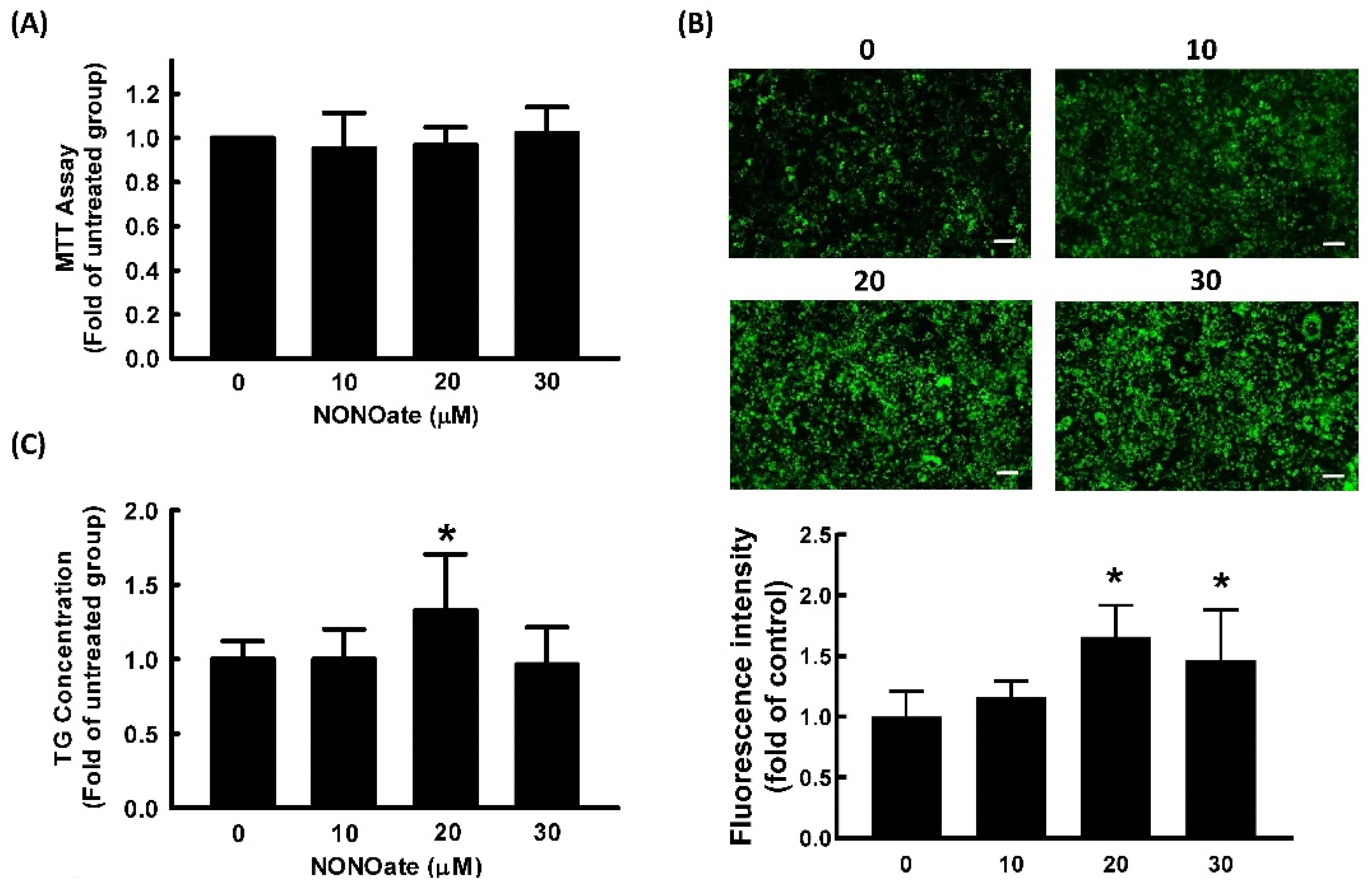 Ijms 23 05488 g003 Ijms 23 05488 g003