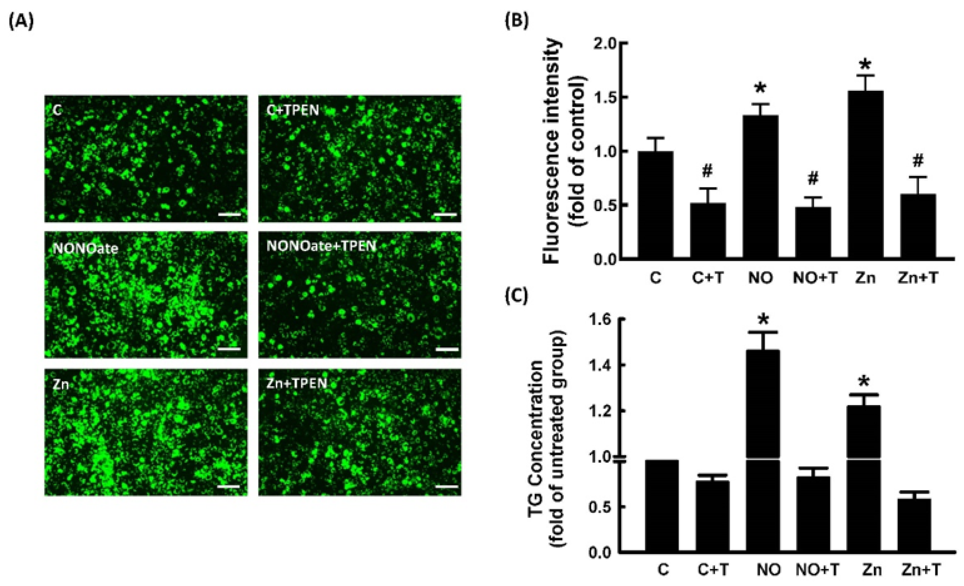 Ijms 23 05488 g006 Ijms 23 05488 g006