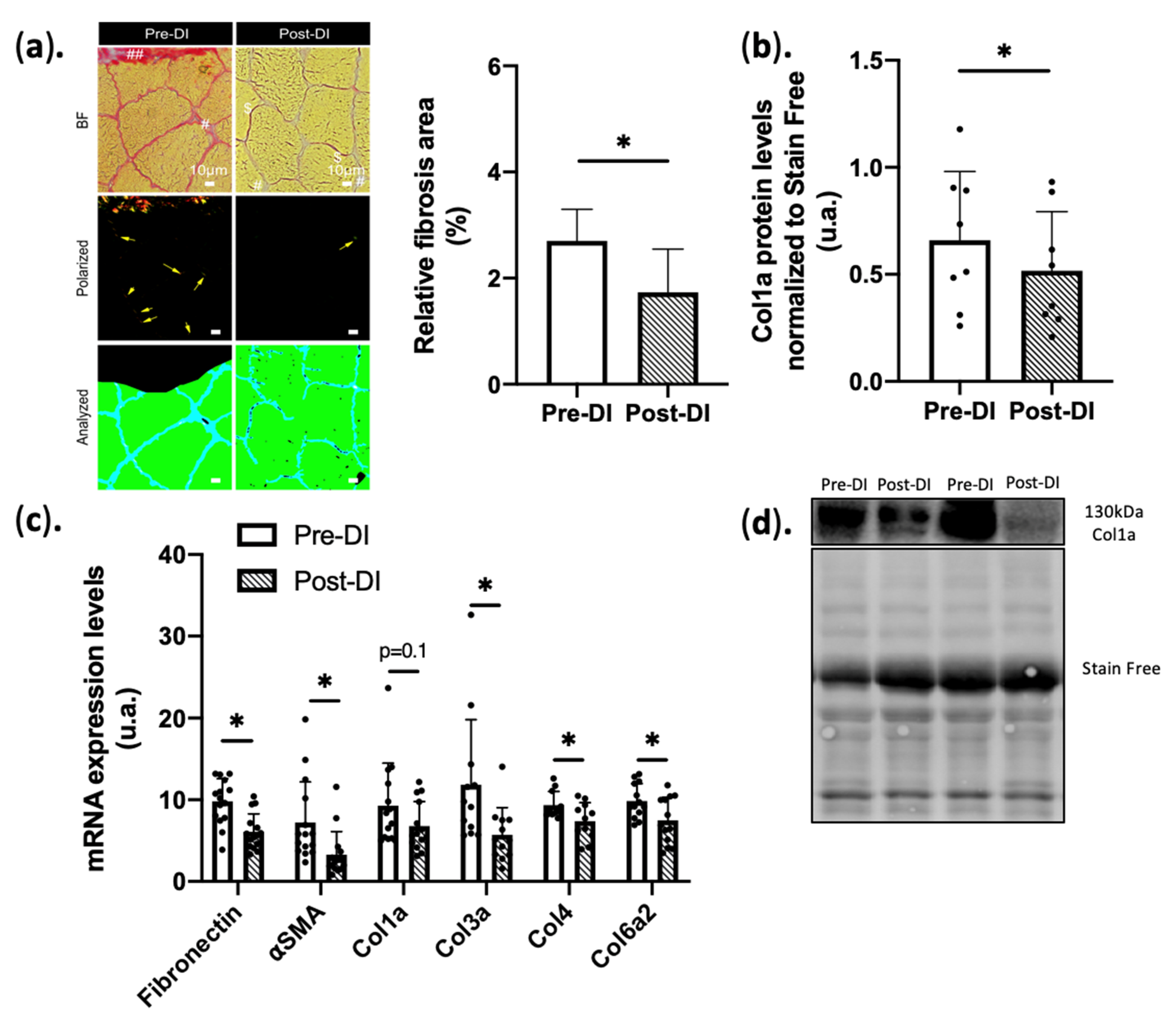 Ijms 23 05489 g001 Ijms 23 05489 g001