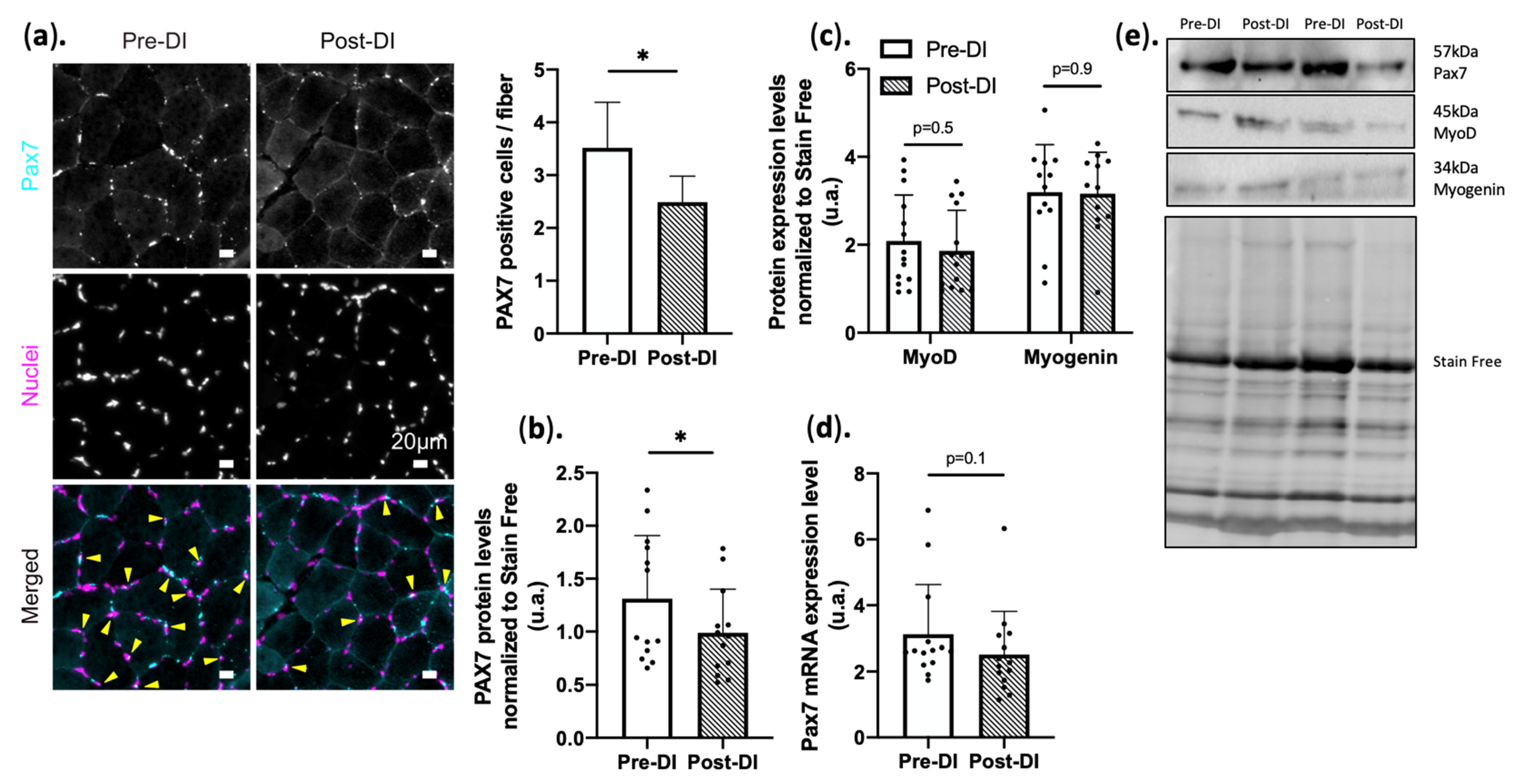 Ijms 23 05489 g003 Ijms 23 05489 g003