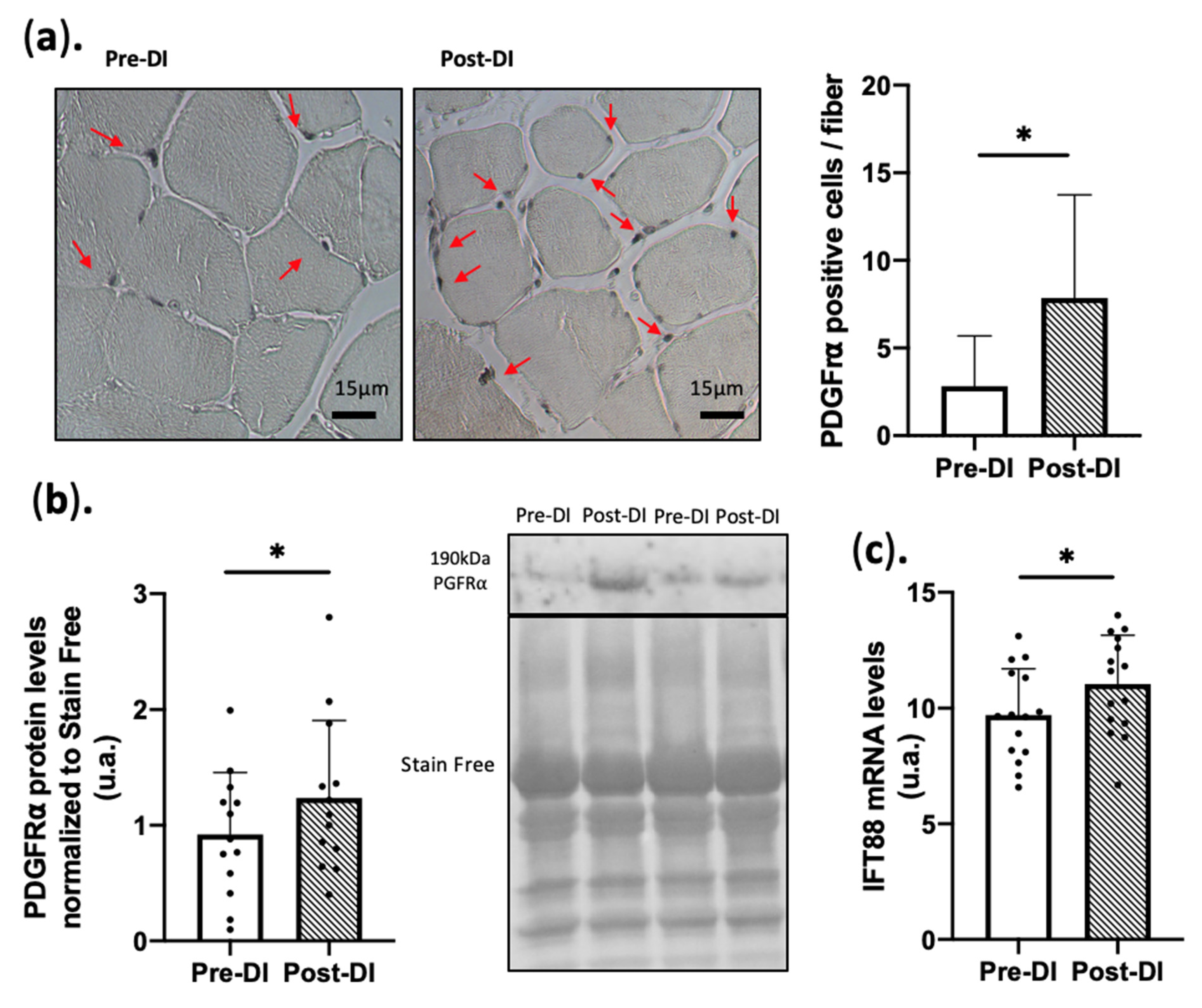 Ijms 23 05489 g004 Ijms 23 05489 g004