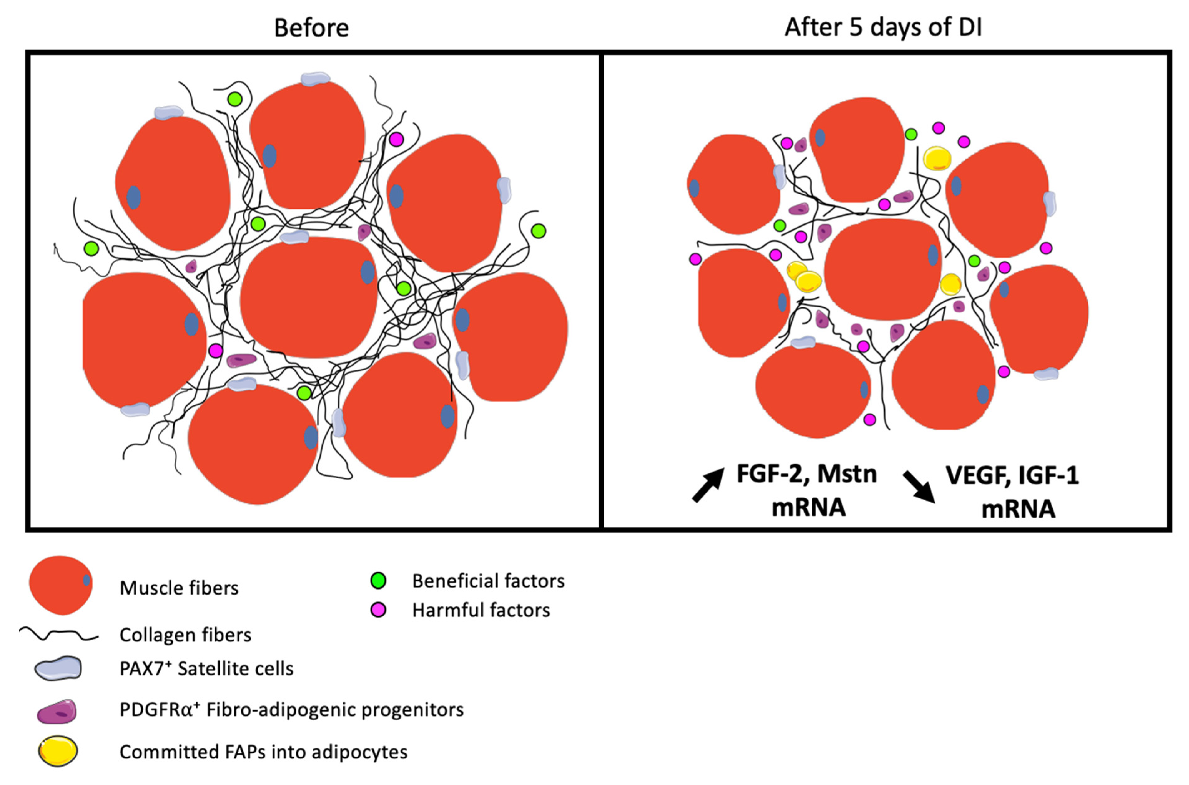 Ijms 23 05489 g006 Ijms 23 05489 g006