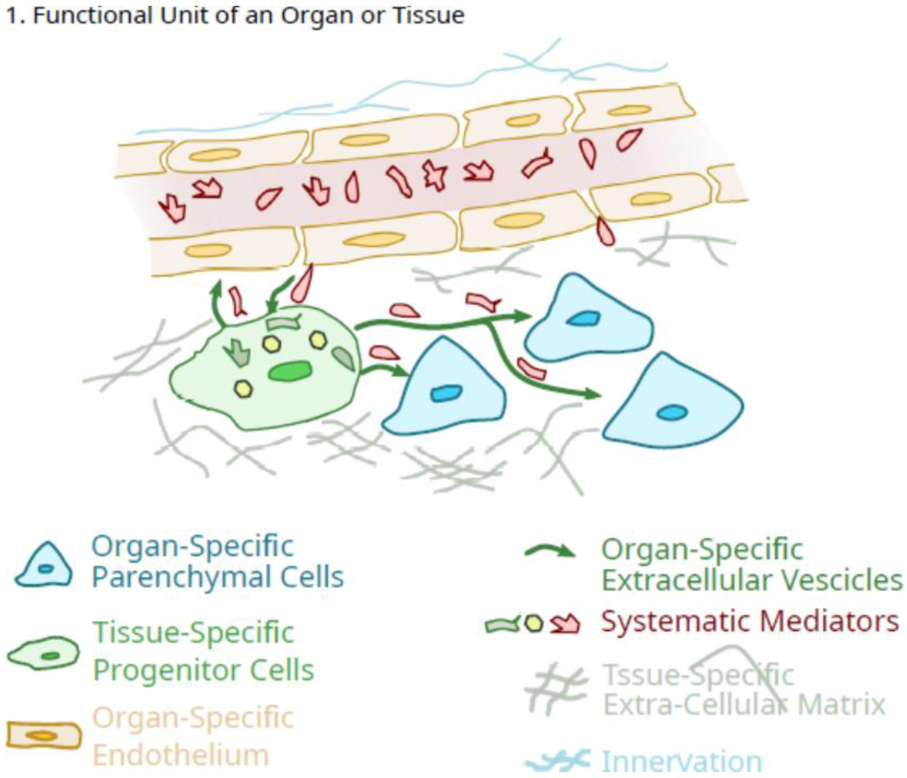 Ijms 23 05496 g001 Ijms 23 05496 g001