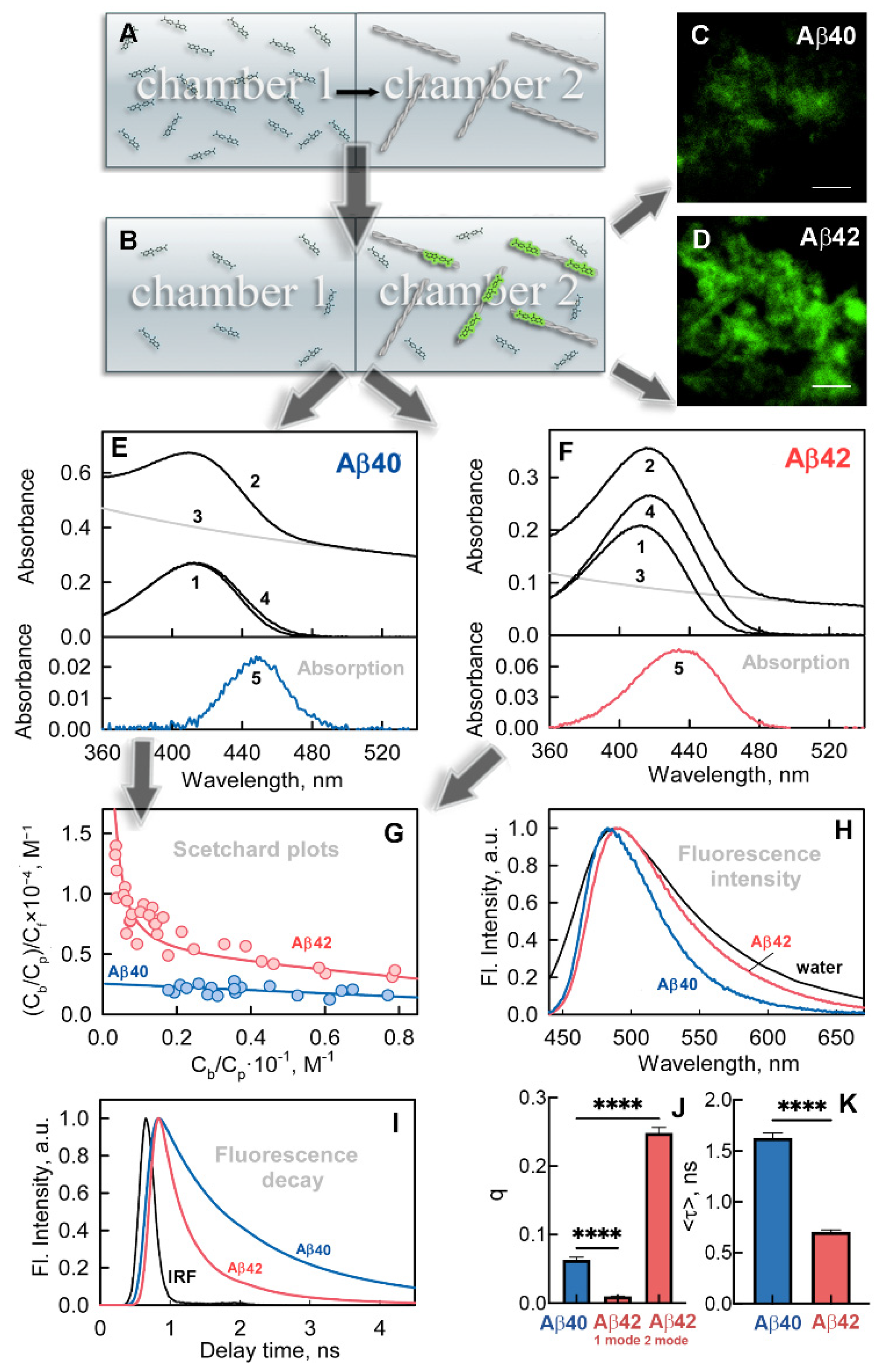 Ijms 23 05513 g002 Ijms 23 05513 g002