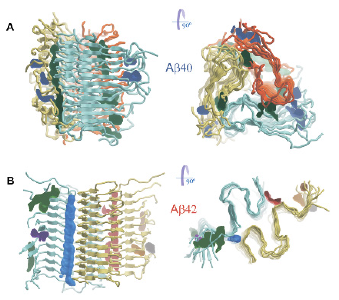 Ijms 23 05513 g003 Ijms 23 05513 g003