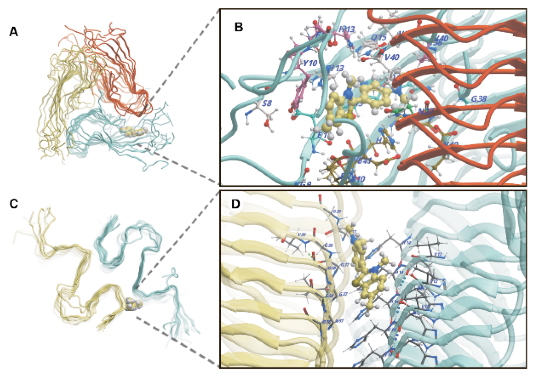 Ijms 23 05513 g004 Ijms 23 05513 g004
