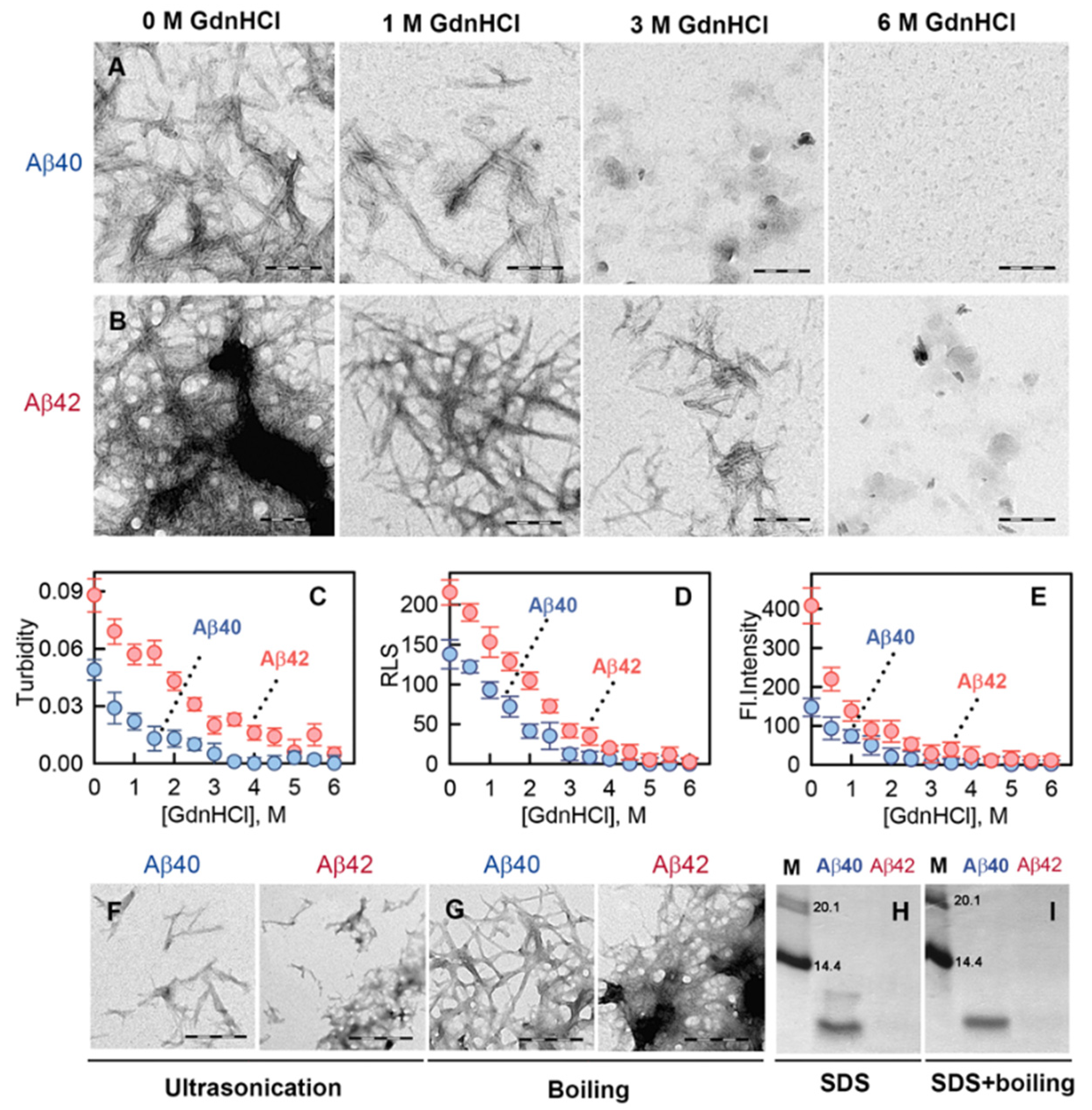 Ijms 23 05513 g005 Ijms 23 05513 g005