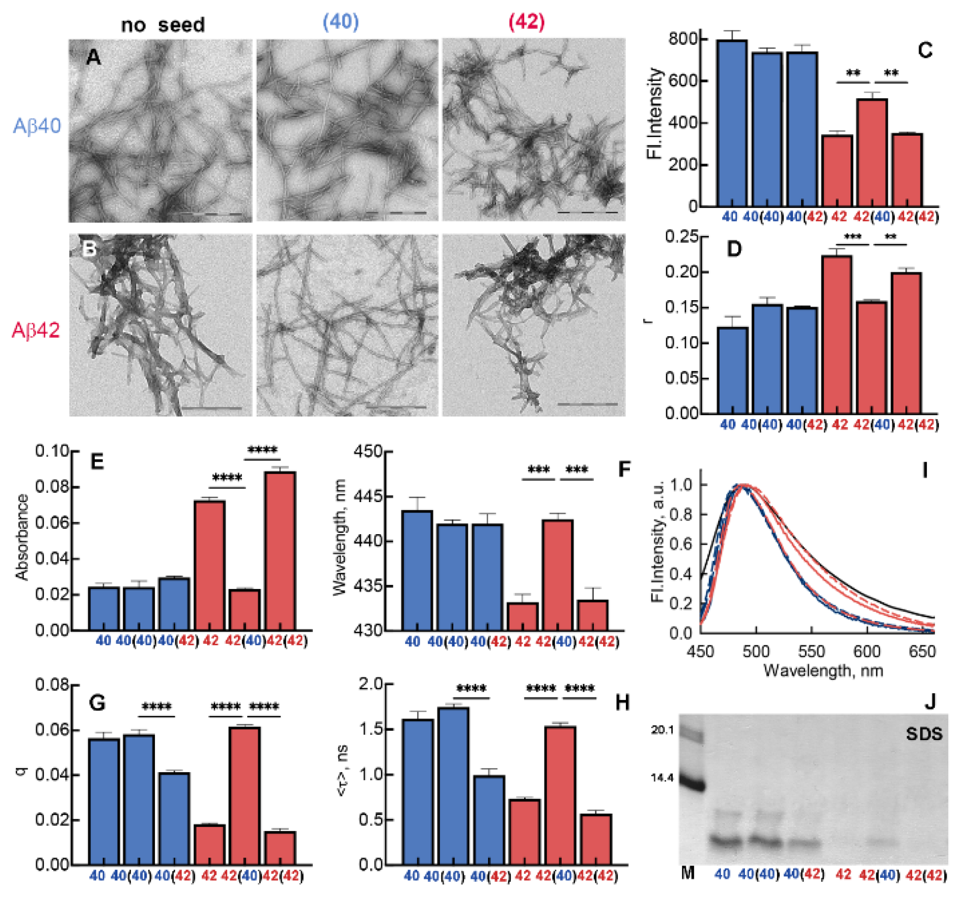 Ijms 23 05513 g007 Ijms 23 05513 g007