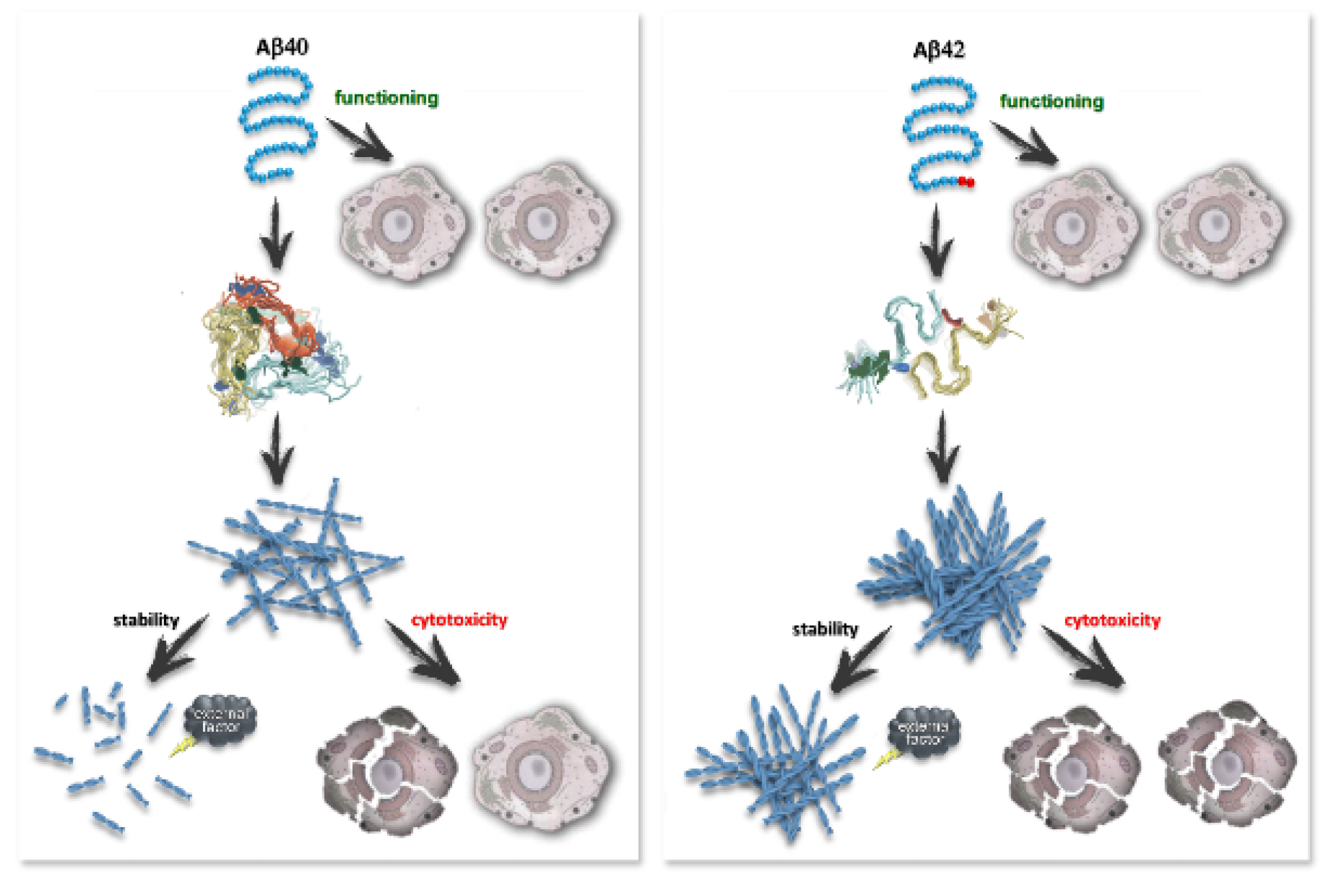 Ijms 23 05513 sch001 Ijms 23 05513 sch001