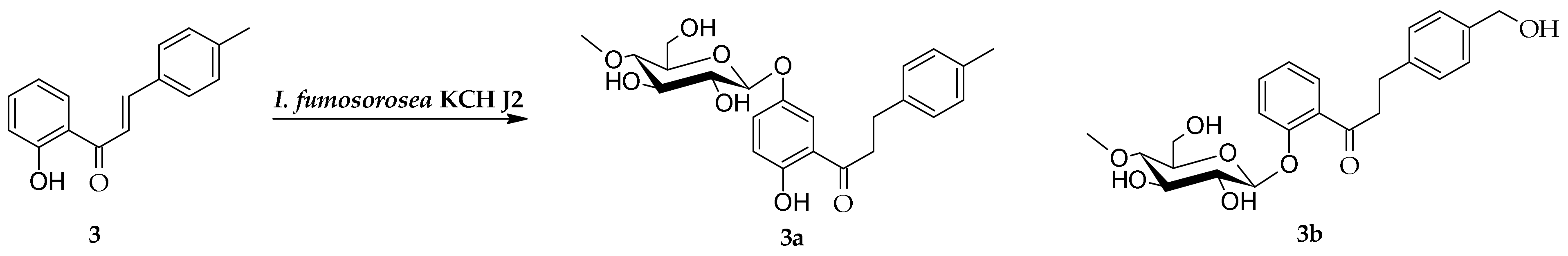 Ijms 23 05558 sch002