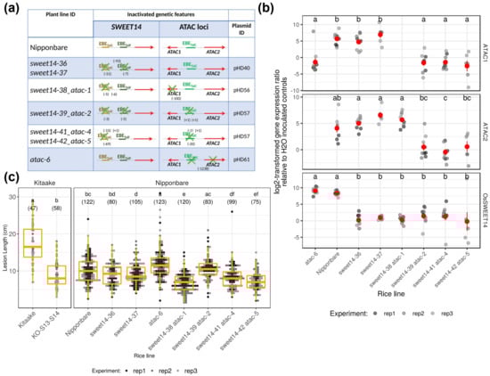 Ijms 23 05559 g004 550
