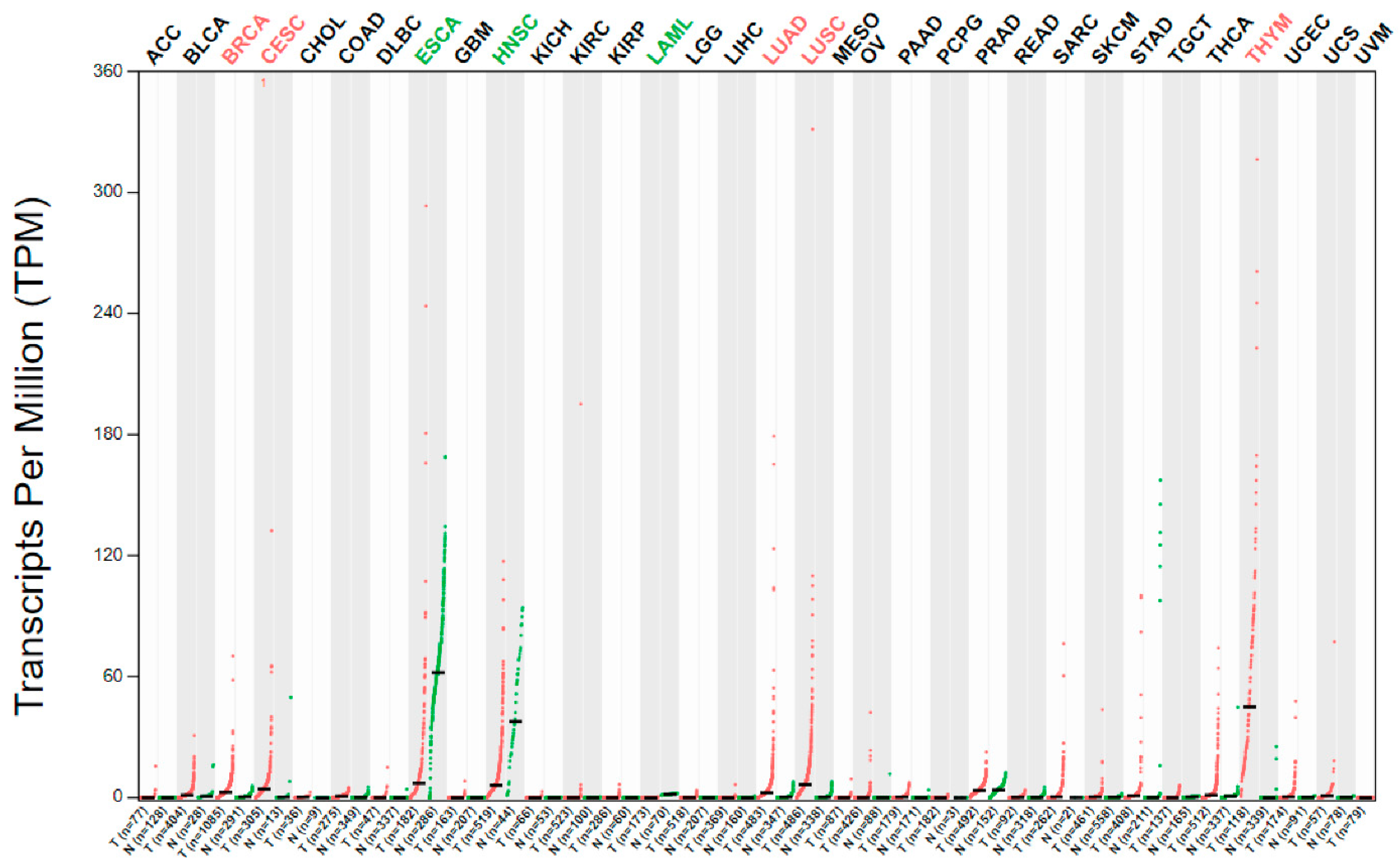 Ijms 23 05589 g002 Ijms 23 05589 g002