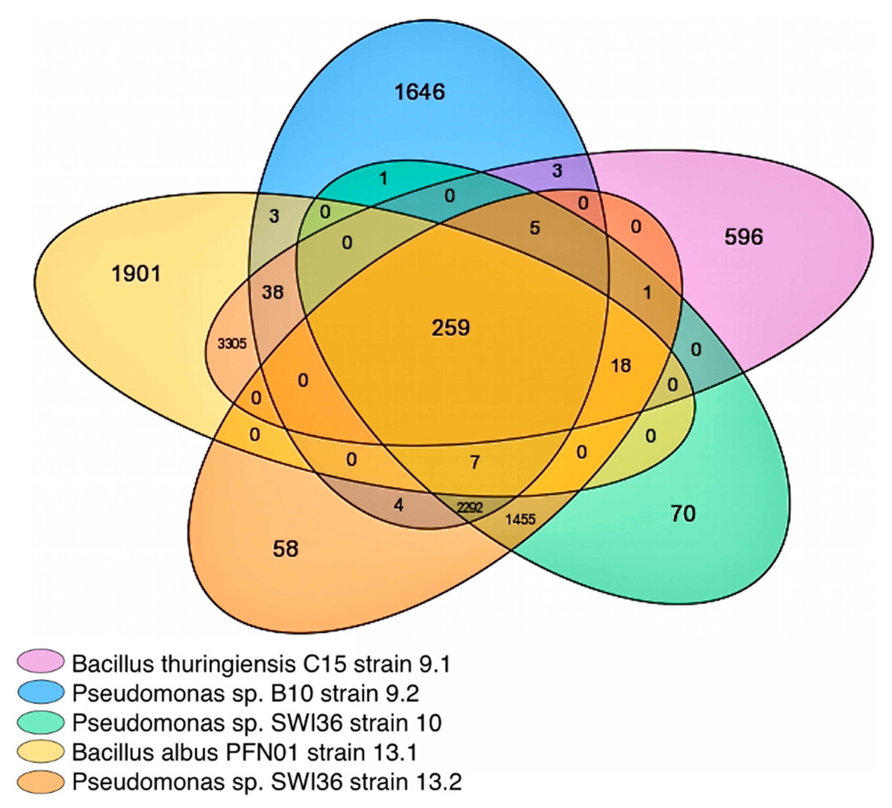 Ijms 23 05612 g001 Ijms 23 05612 g001