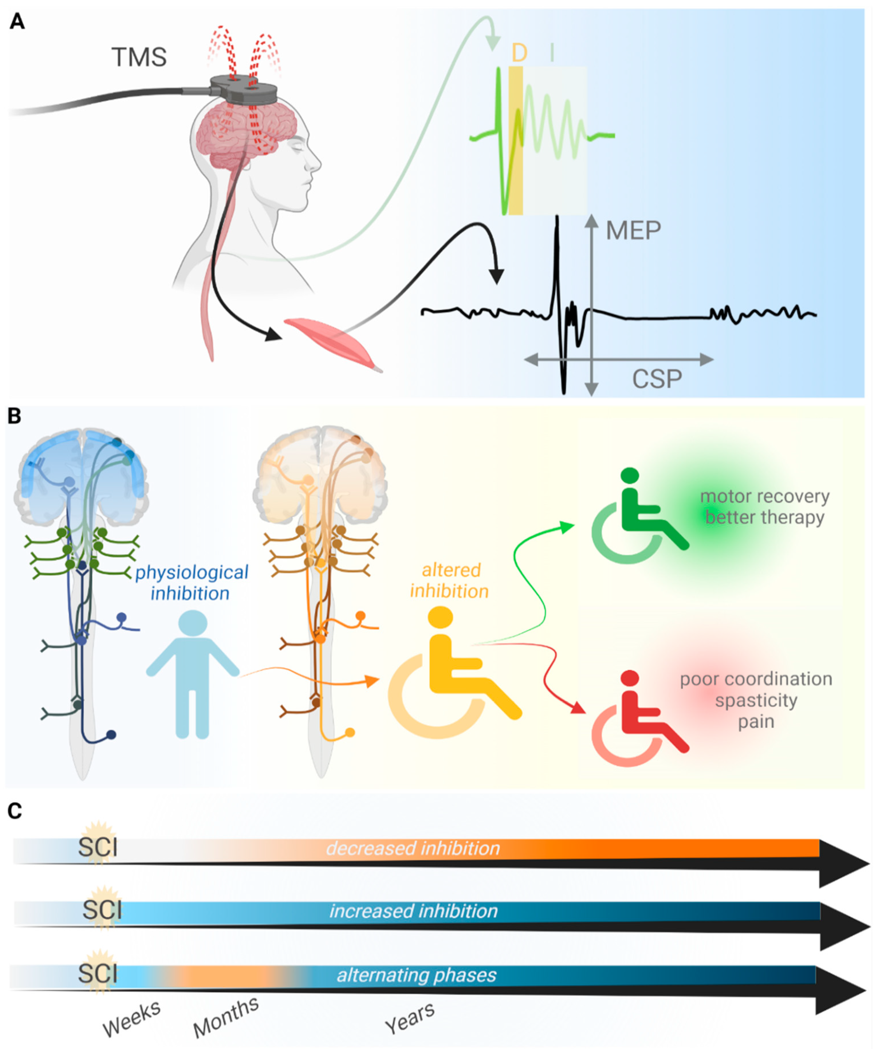 Ijms 23 05622 g001 Ijms 23 05622 g001