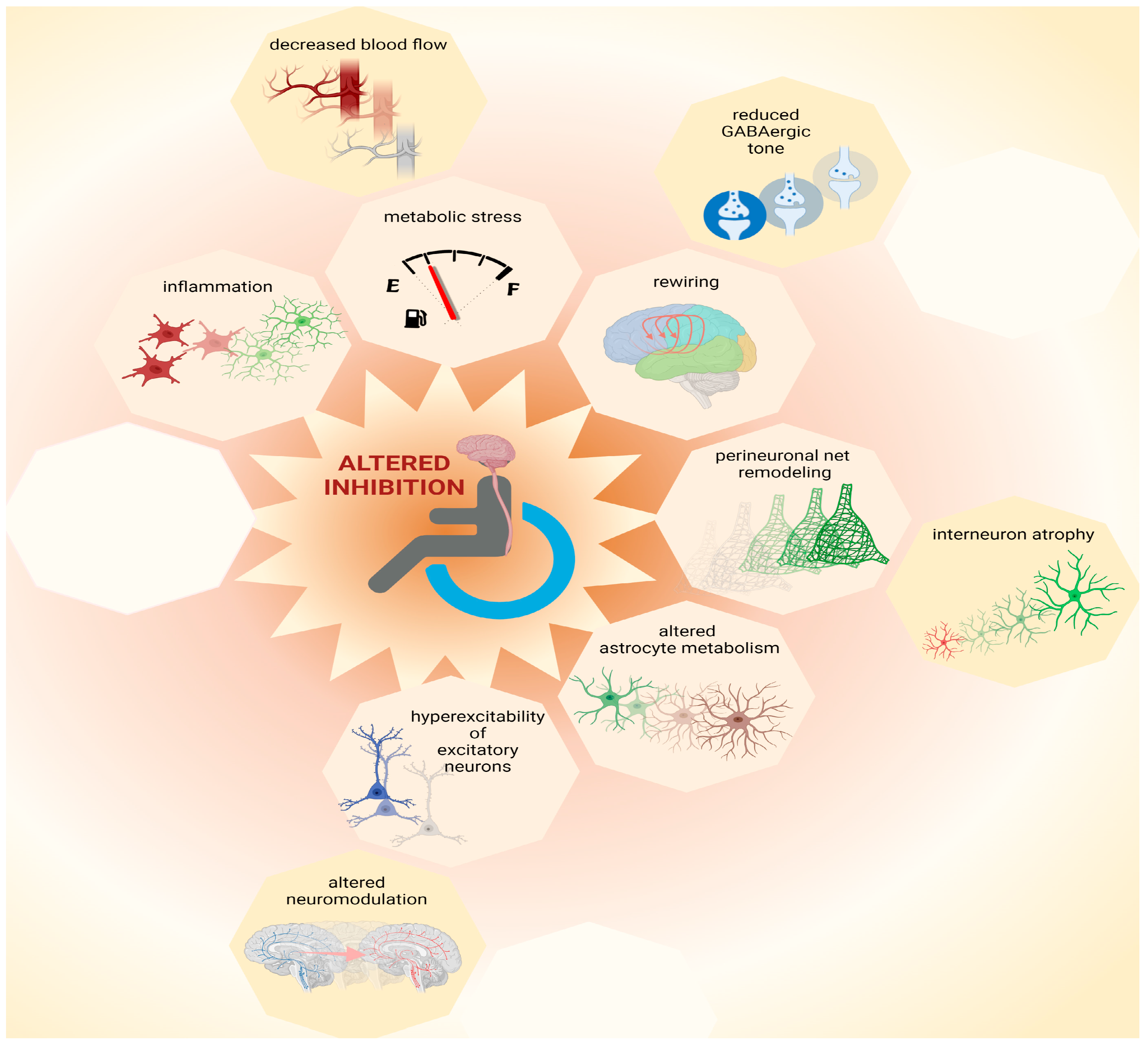 Ijms 23 05622 g002 Ijms 23 05622 g002