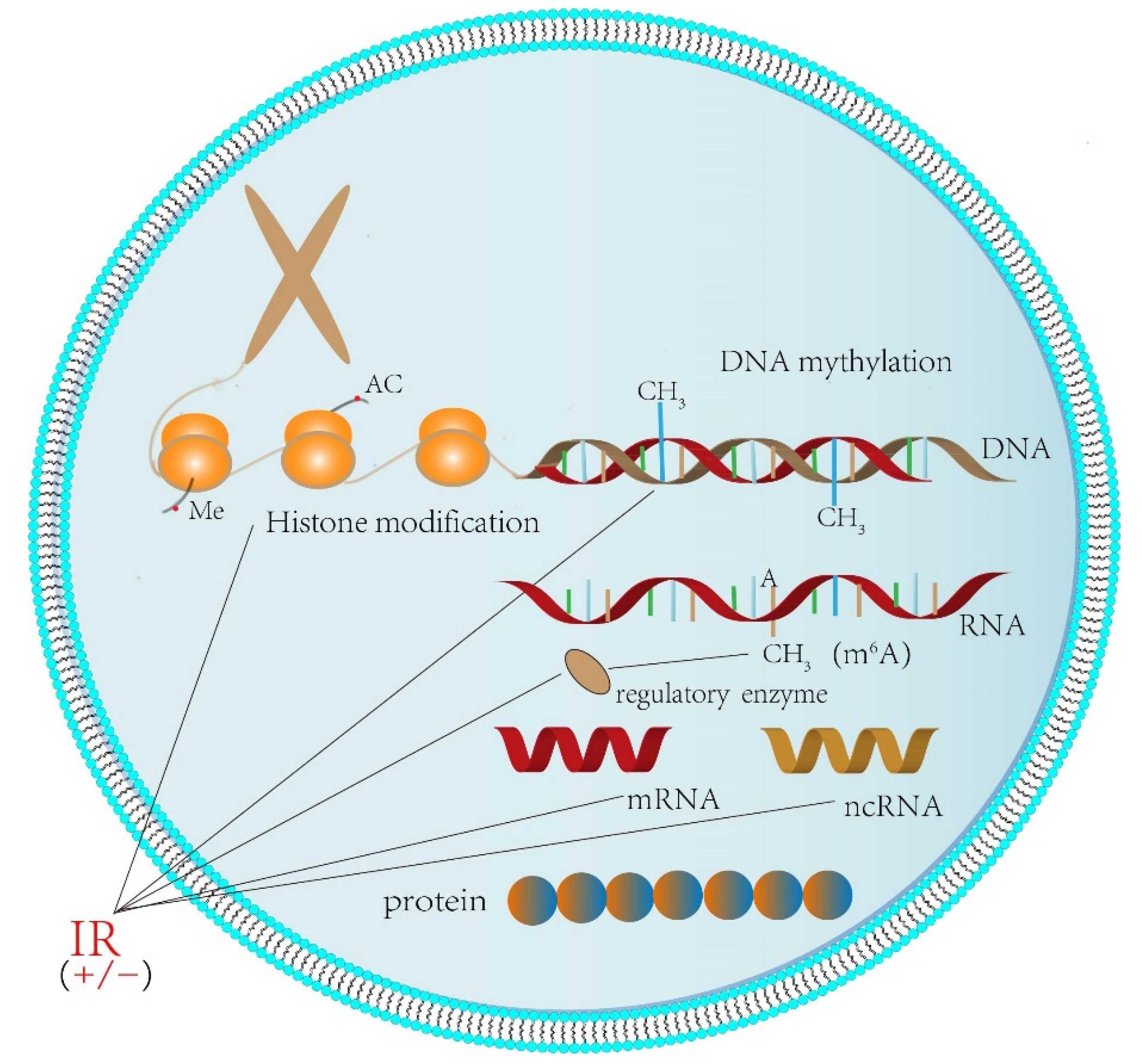 Ijms 23 05654 g001 Ijms 23 05654 g001