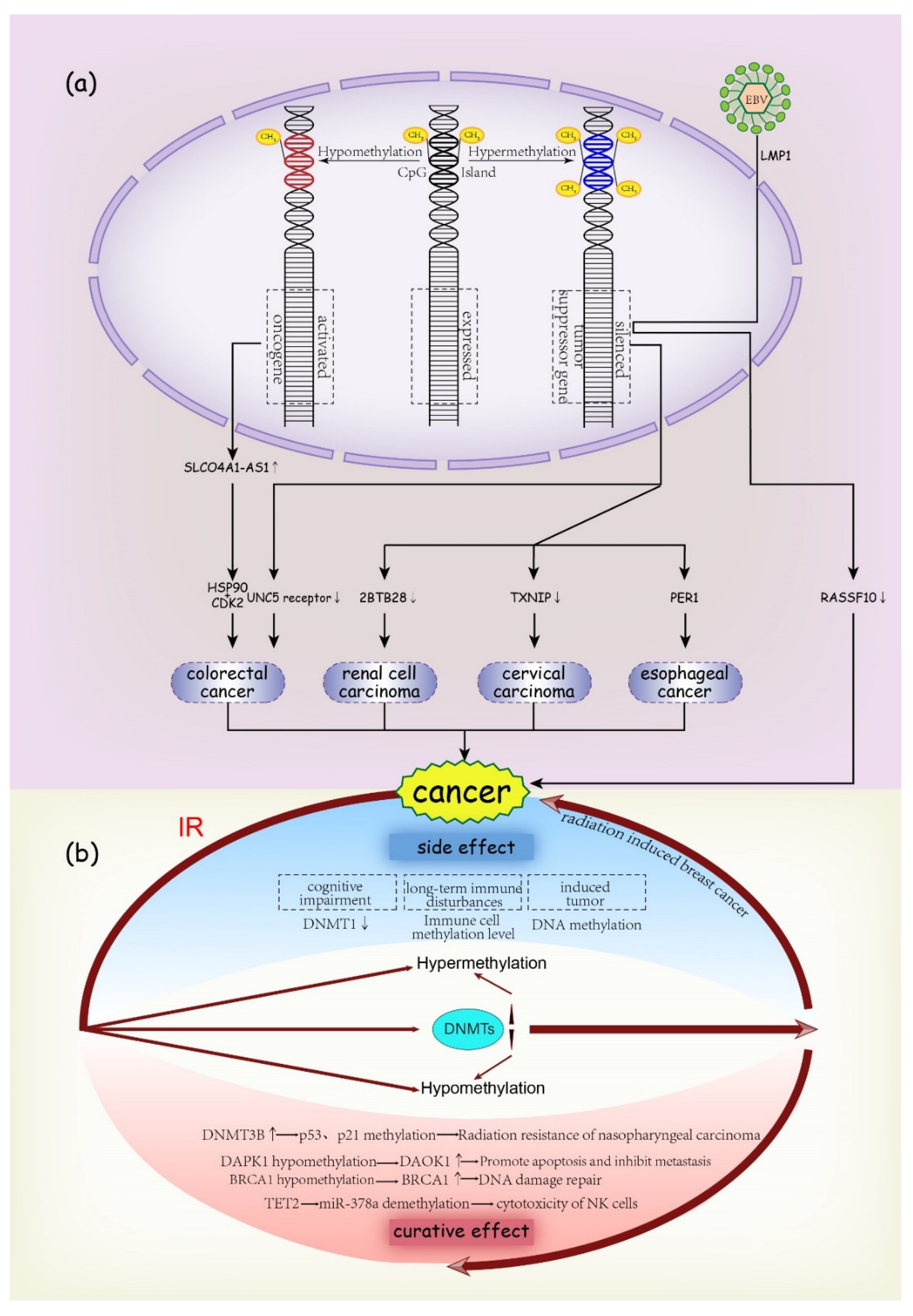Ijms 23 05654 g002 Ijms 23 05654 g002