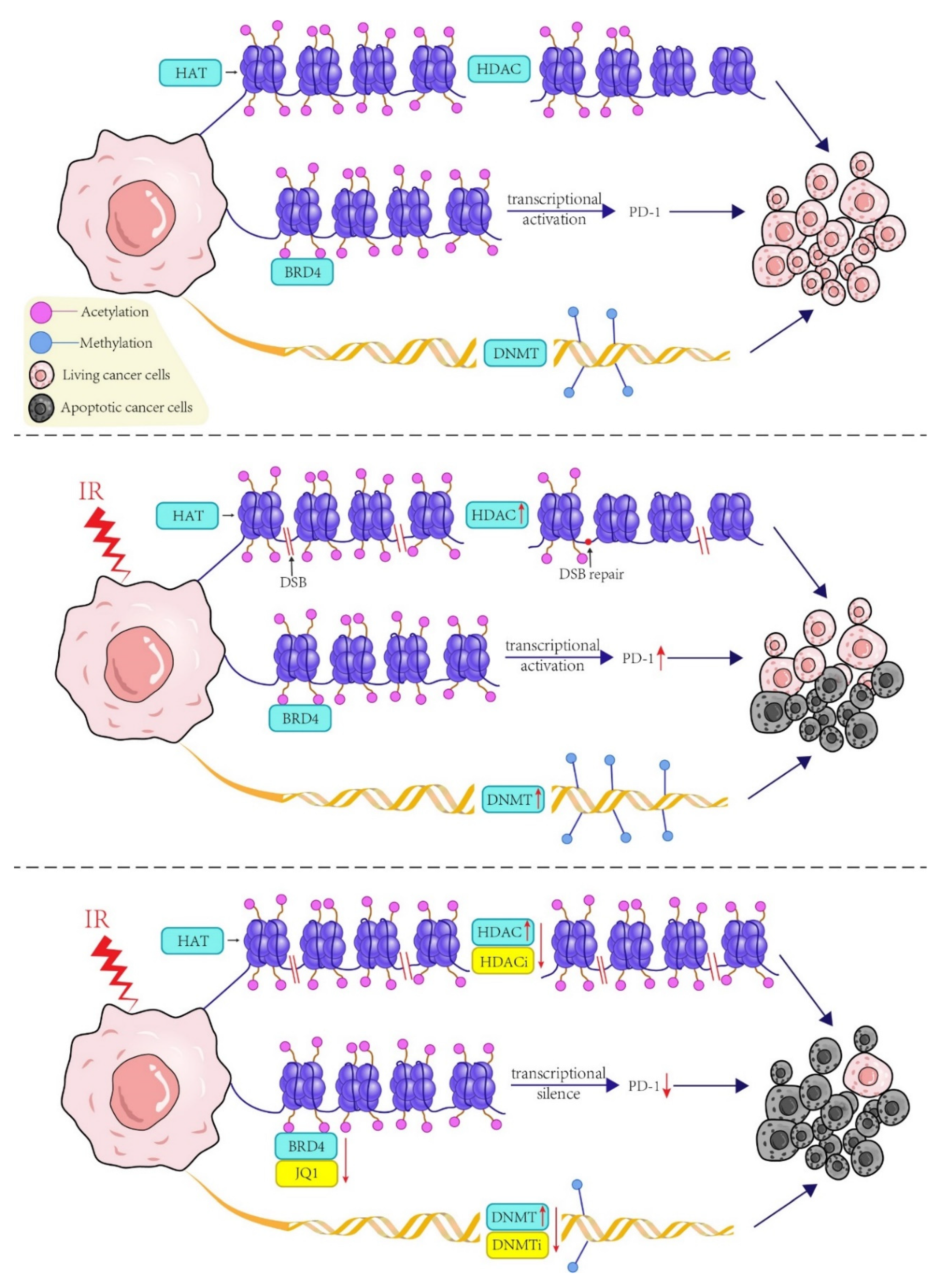 Ijms 23 05654 g003 Ijms 23 05654 g003