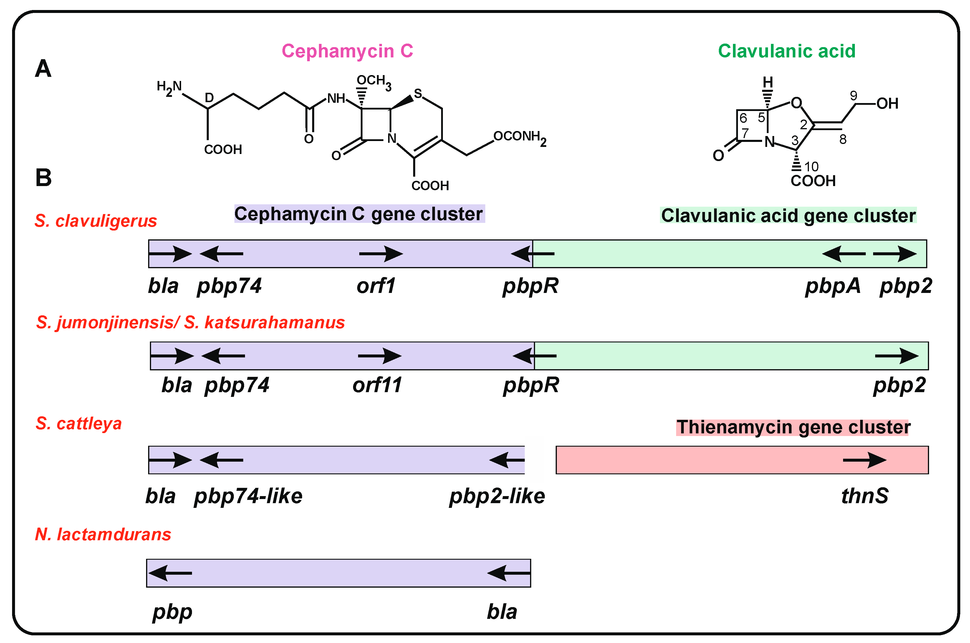 Ijms 23 05662 g002 Ijms 23 05662 g002