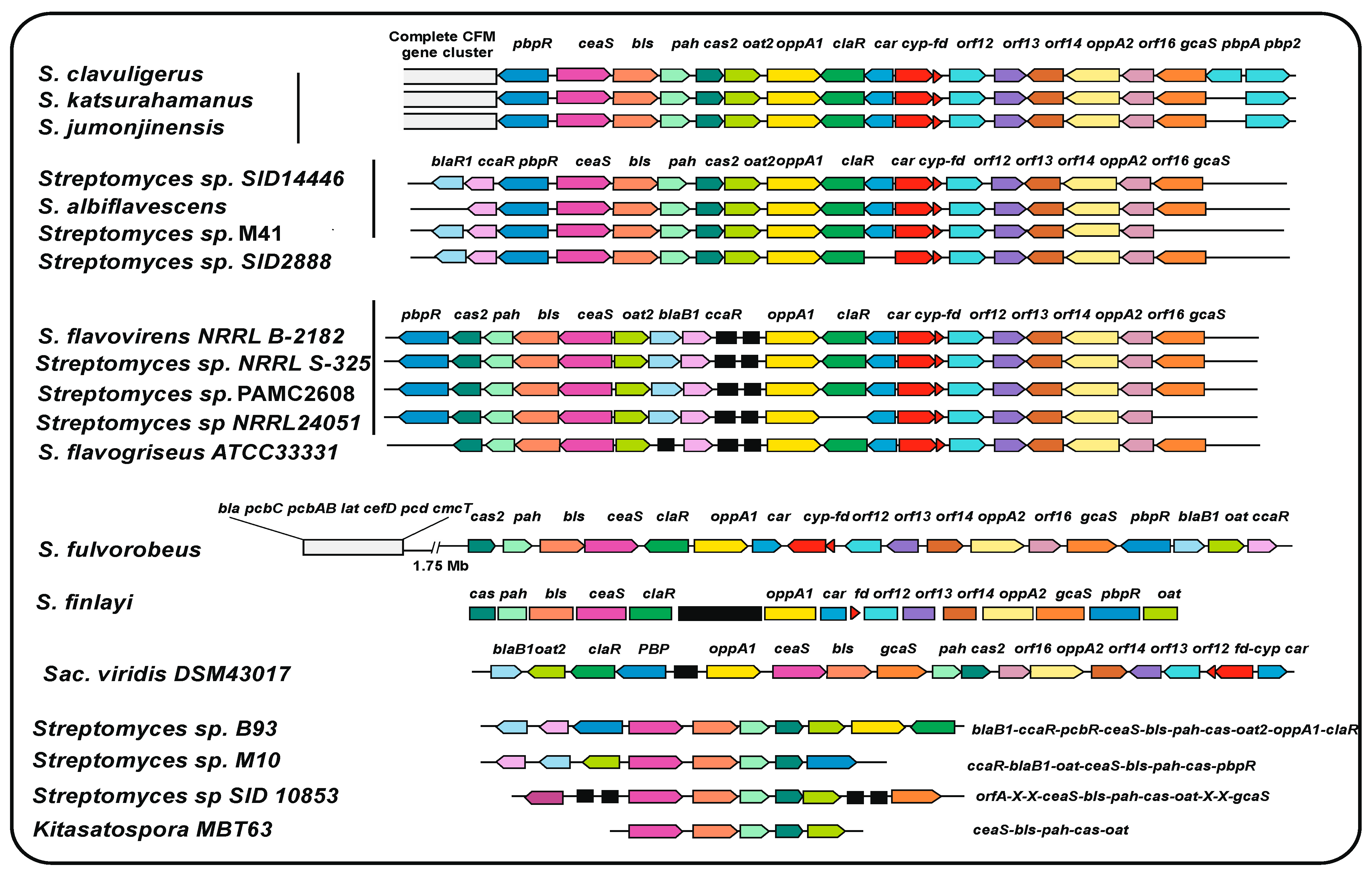 Ijms 23 05662 g003 Ijms 23 05662 g003