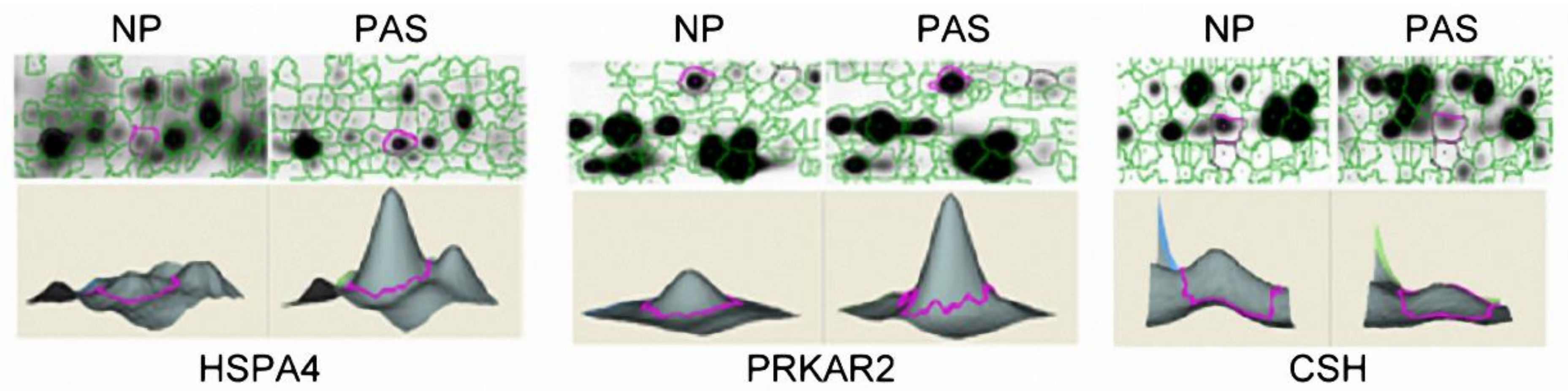 Ijms 23 05682 g002 Ijms 23 05682 g002