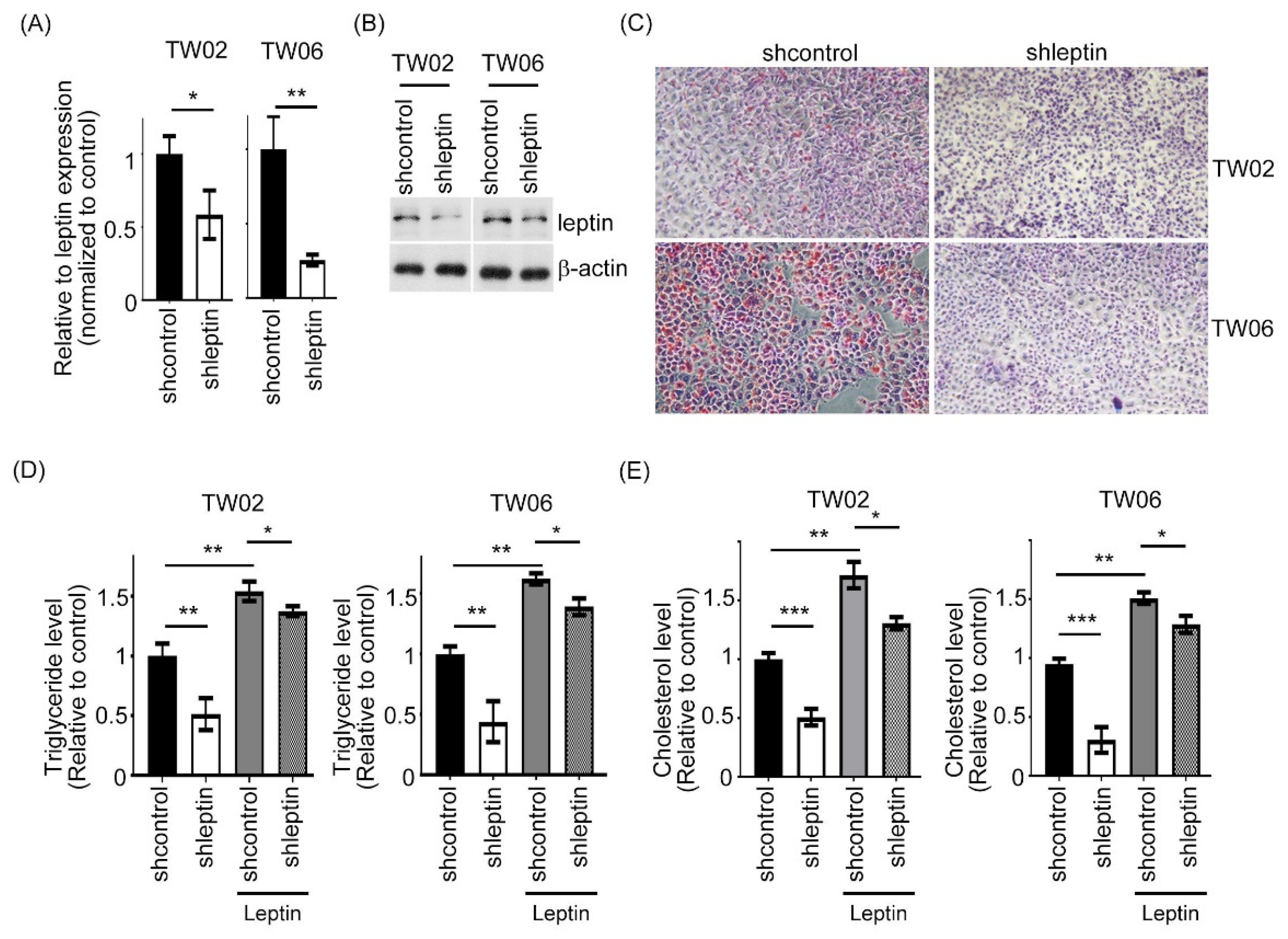 Ijms 23 05700 g001 Ijms 23 05700 g001