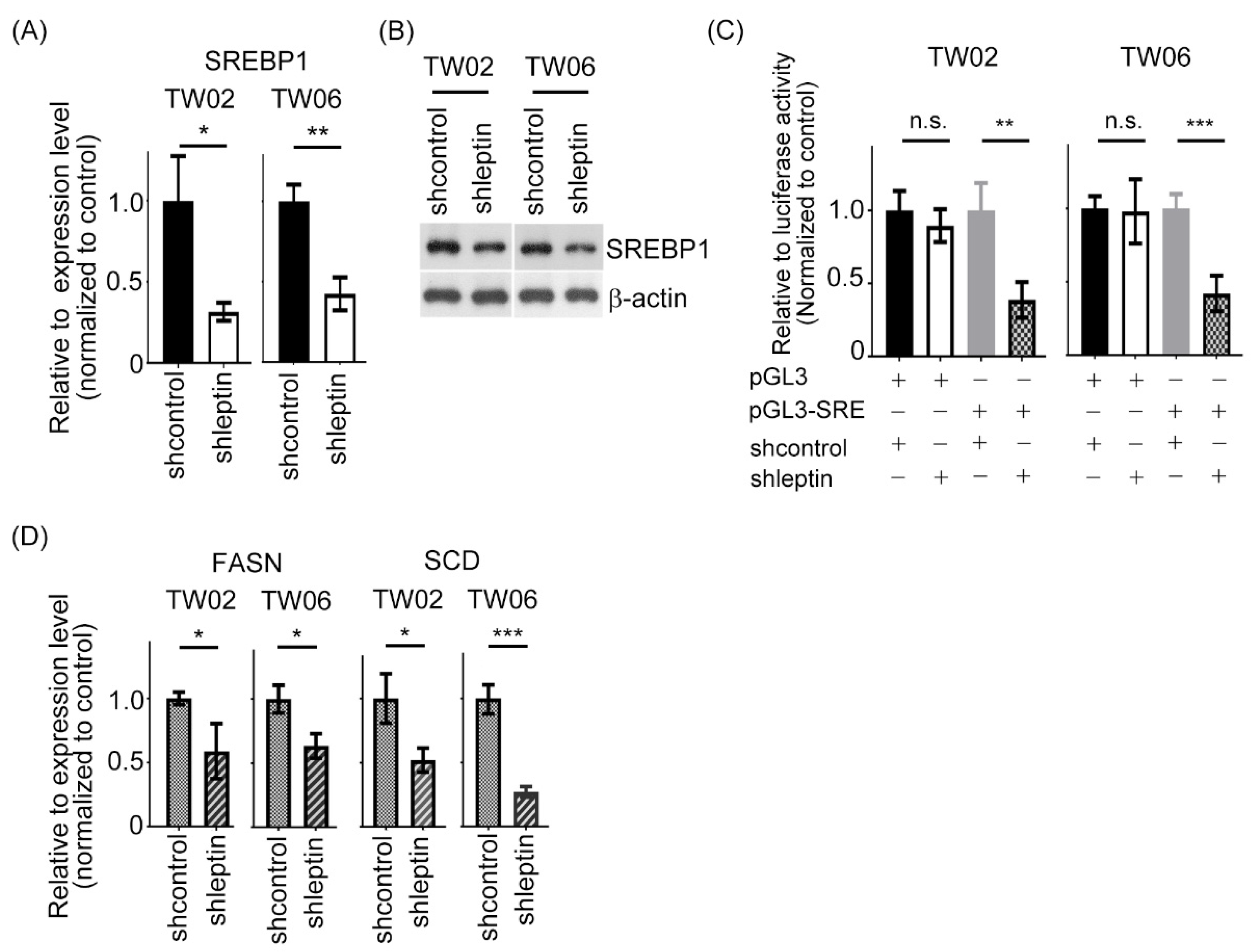 Ijms 23 05700 g002 Ijms 23 05700 g002
