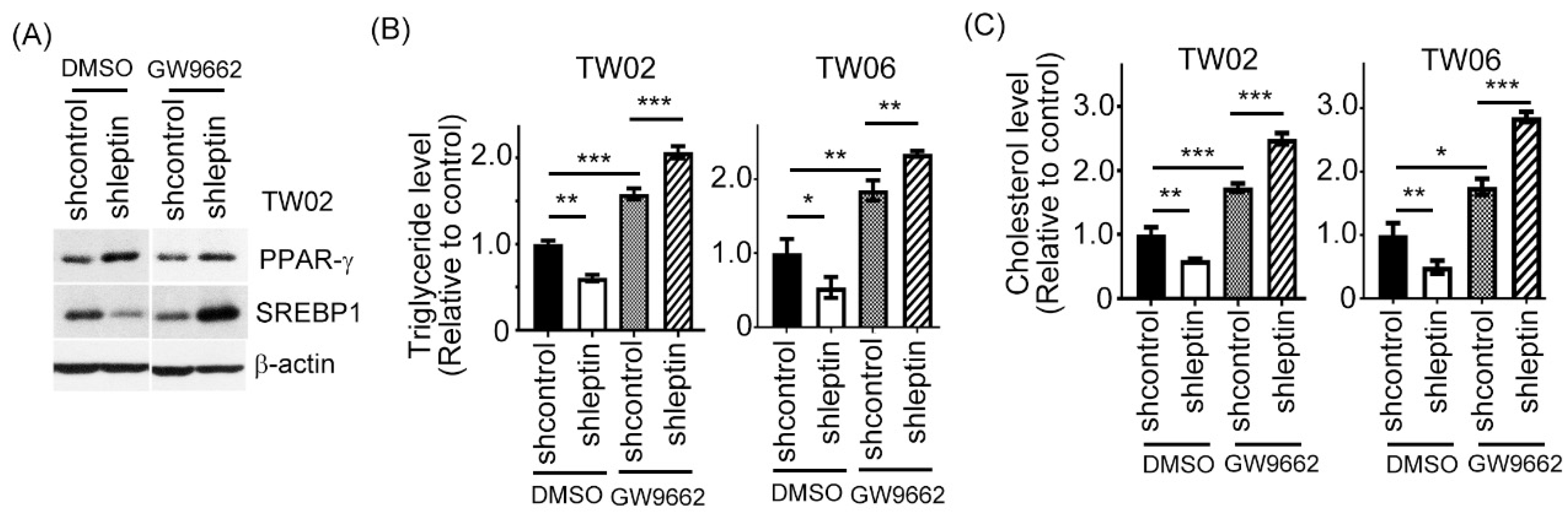 Ijms 23 05700 g003 Ijms 23 05700 g003