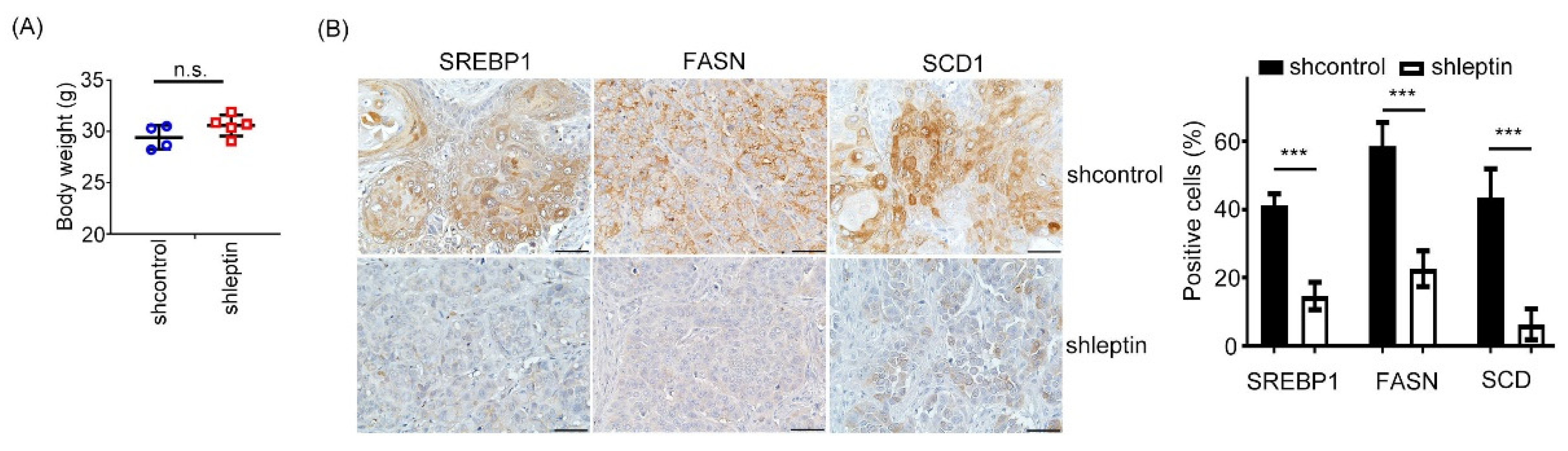 Ijms 23 05700 g005 Ijms 23 05700 g005