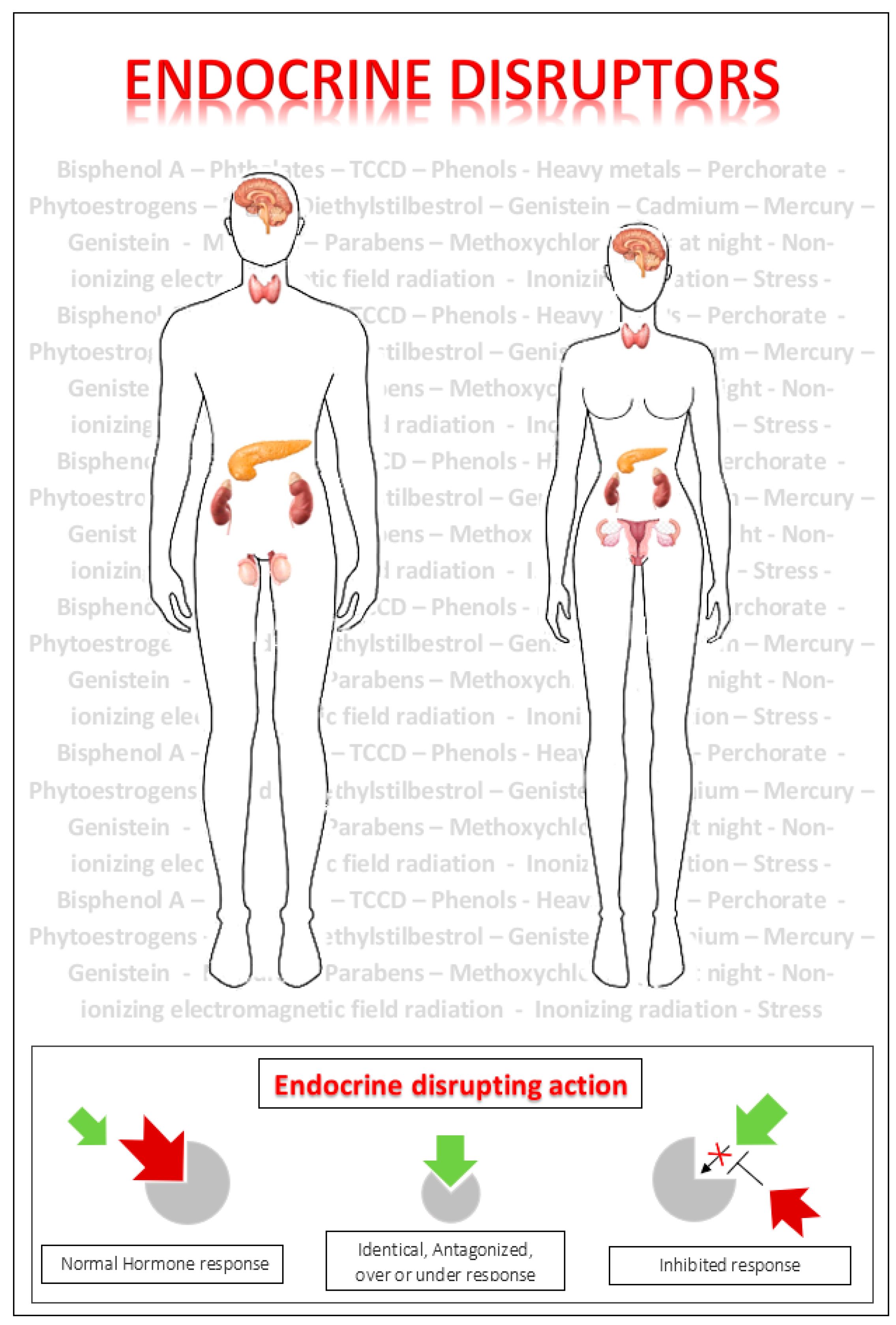 Ijms 23 05710 g001 Ijms 23 05710 g001