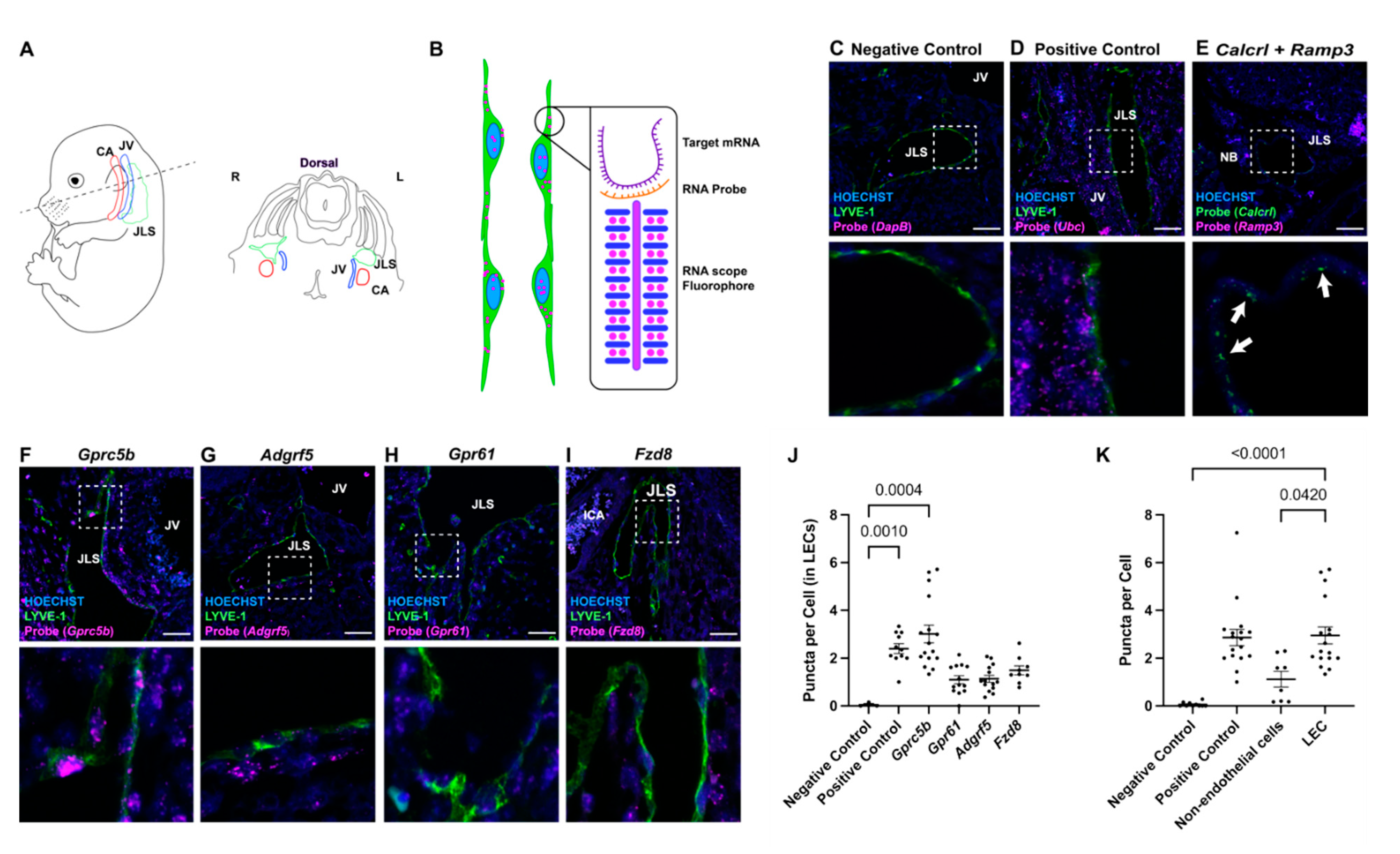 Ijms 23 05712 g001 Ijms 23 05712 g001