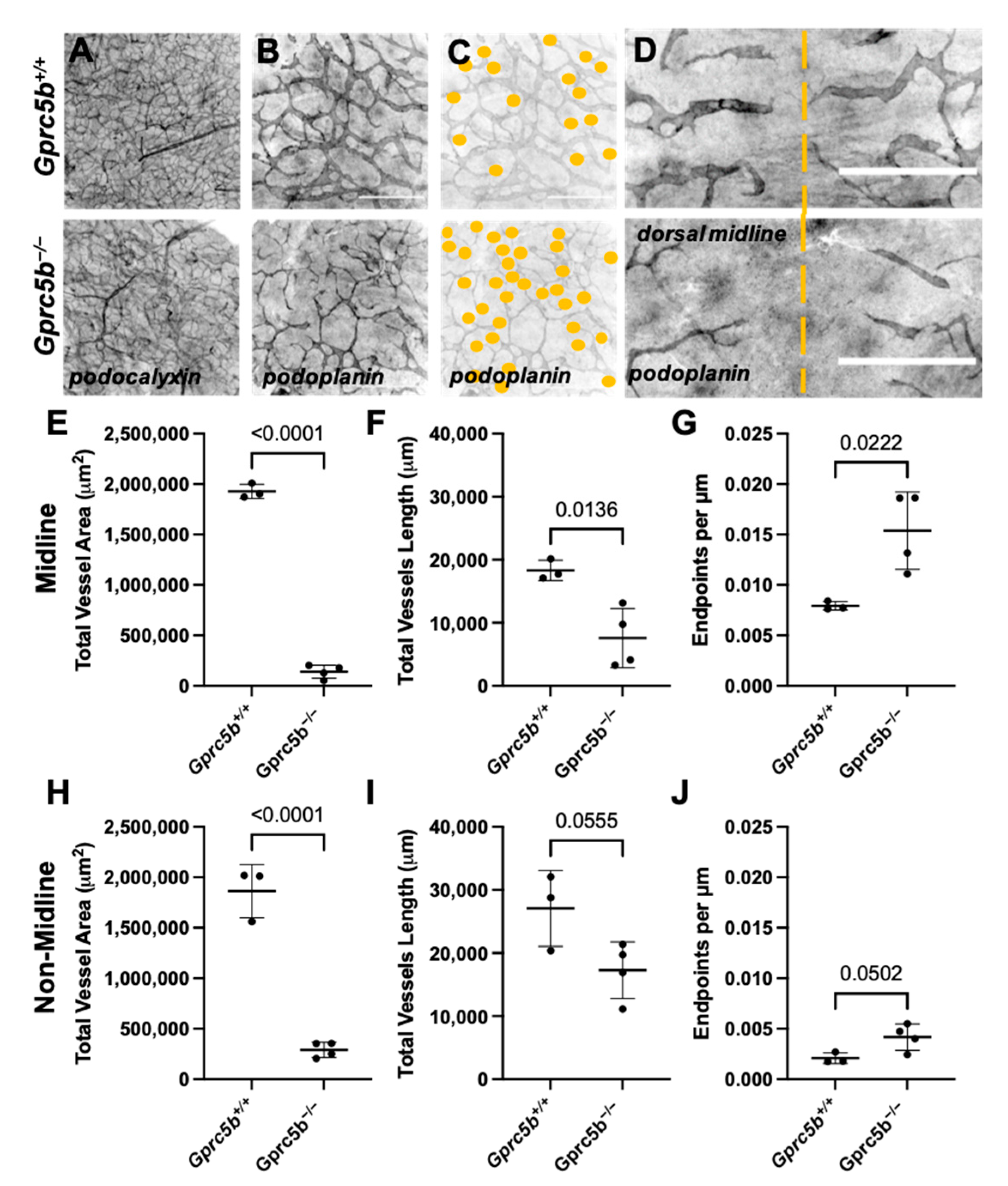 Ijms 23 05712 g004 Ijms 23 05712 g004