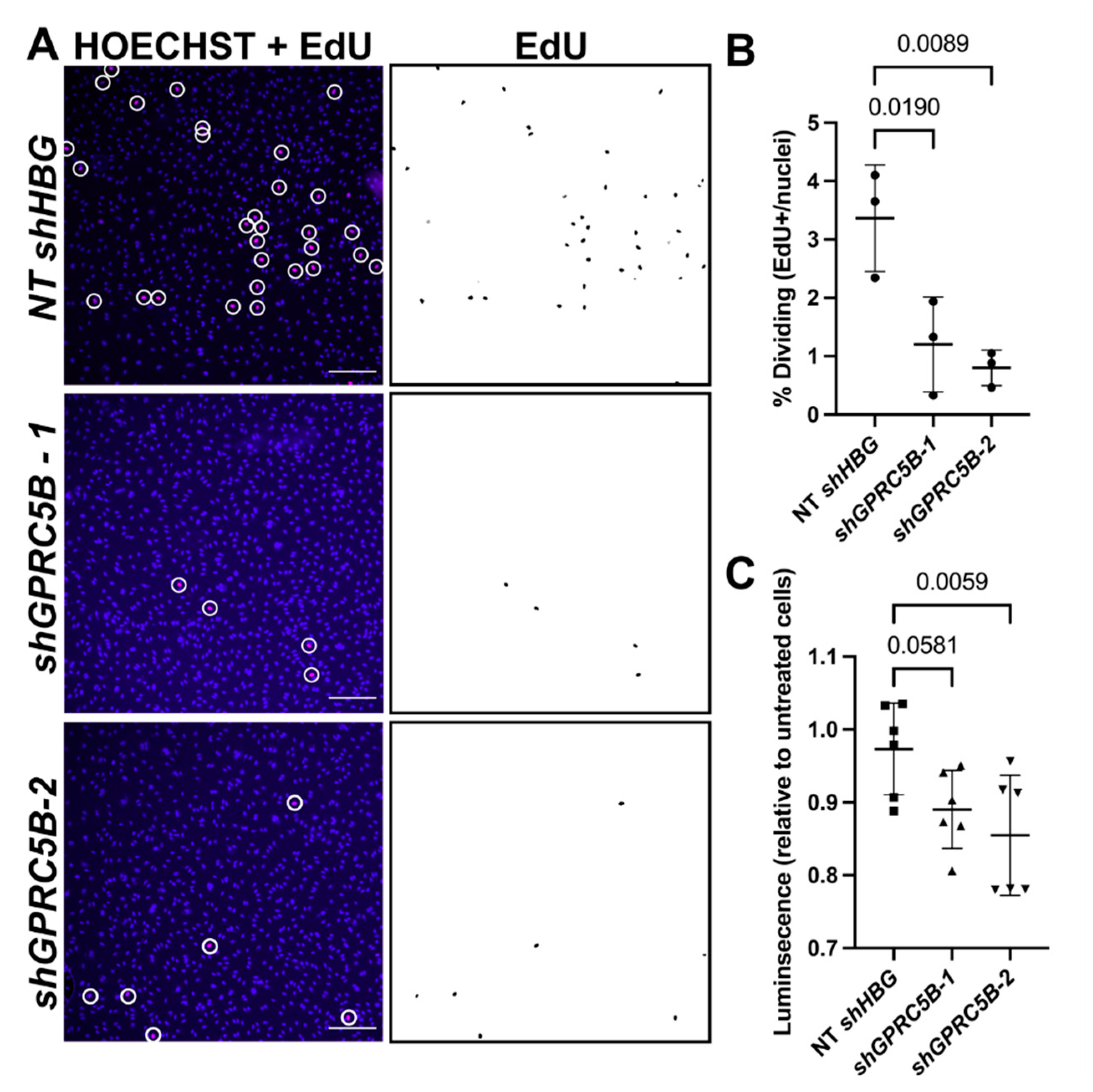 Ijms 23 05712 g007 Ijms 23 05712 g007