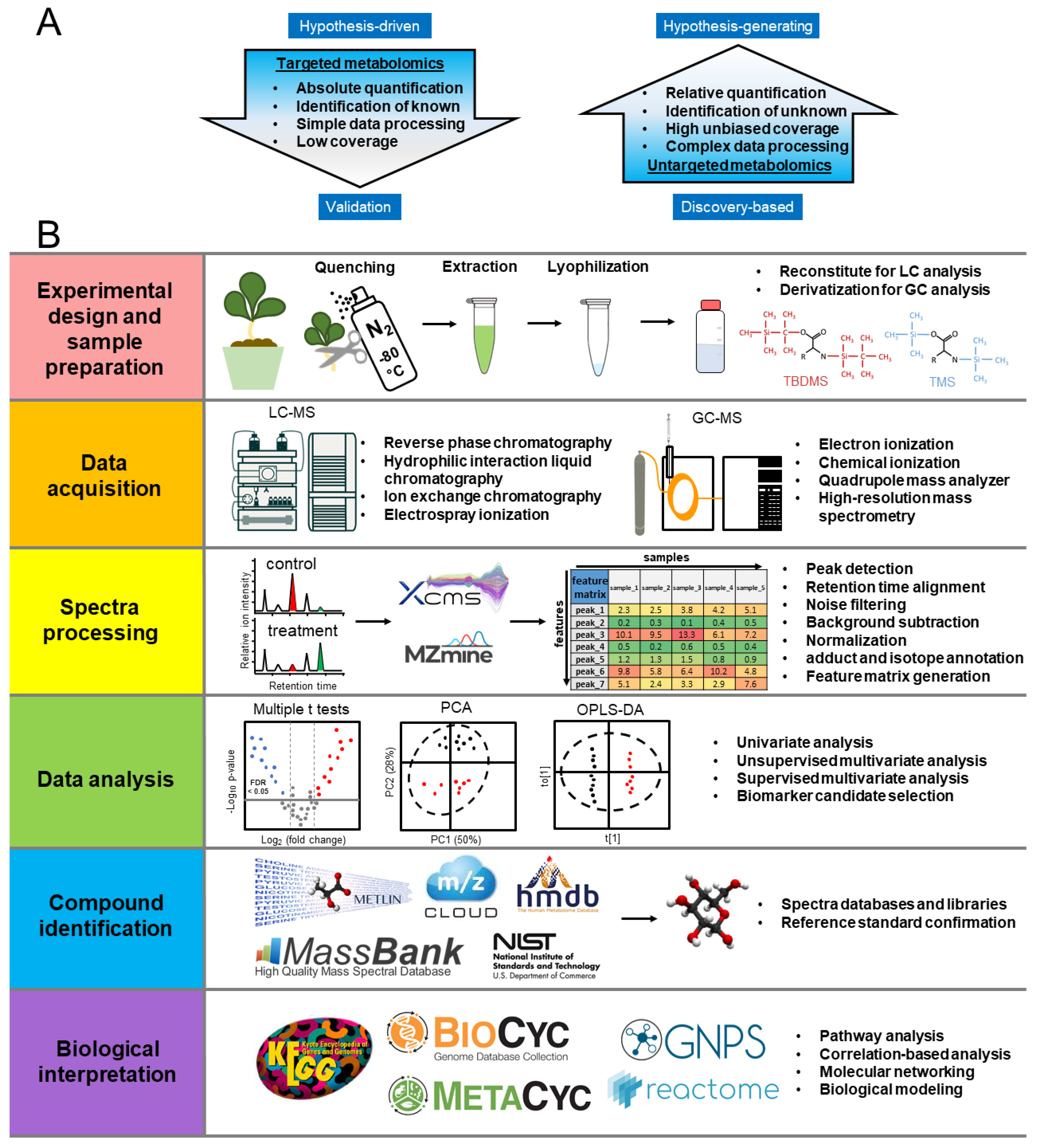 Ijms 23 05716 g002 Ijms 23 05716 g002