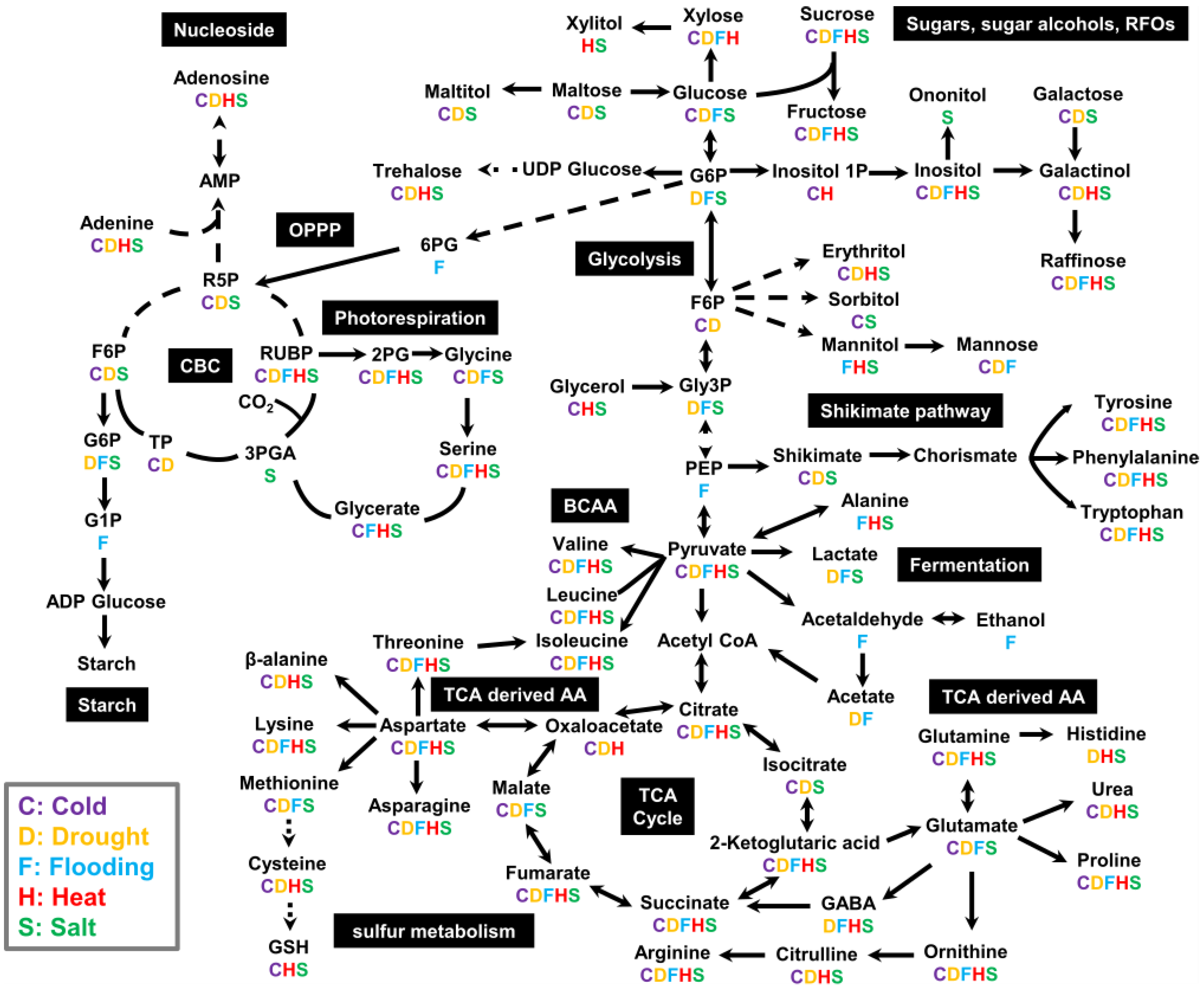 Ijms 23 05716 g003 Ijms 23 05716 g003