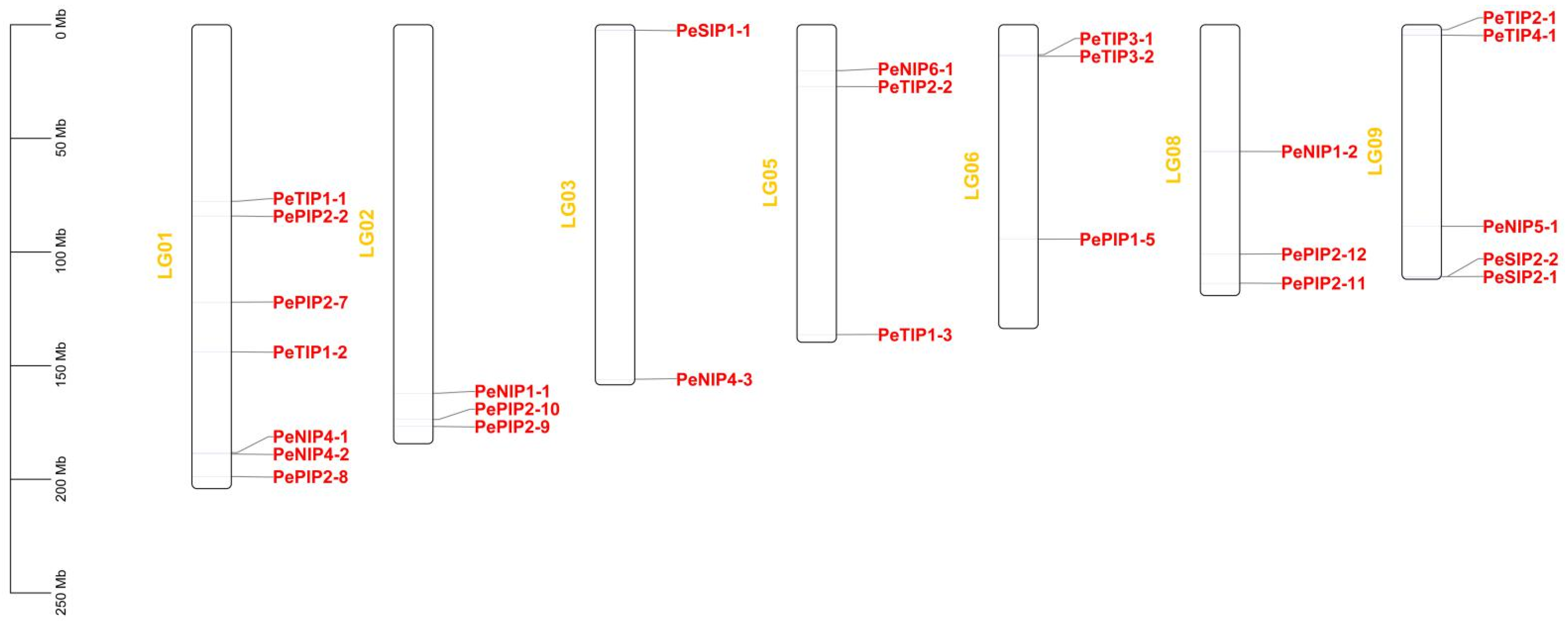 Ijms 23 05720 g003 Ijms 23 05720 g003
