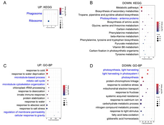 Ijms 23 05754 g0a2 550