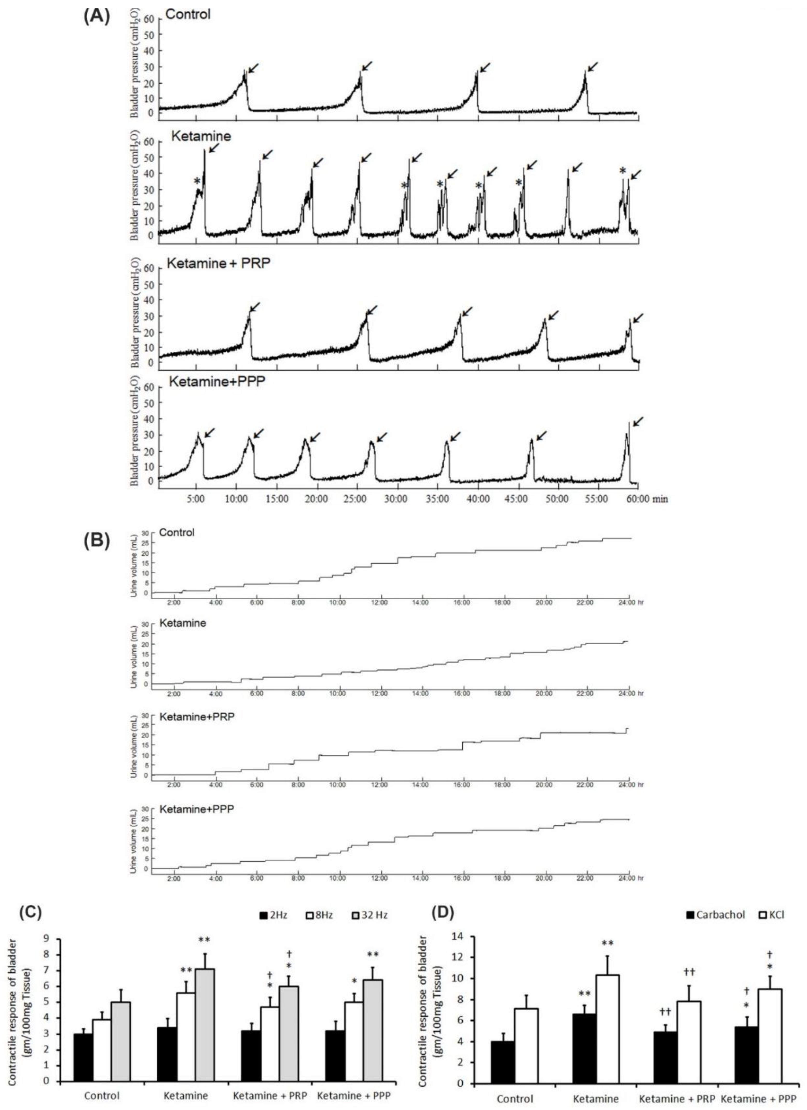 Ijms 23 05771 g001 Ijms 23 05771 g001