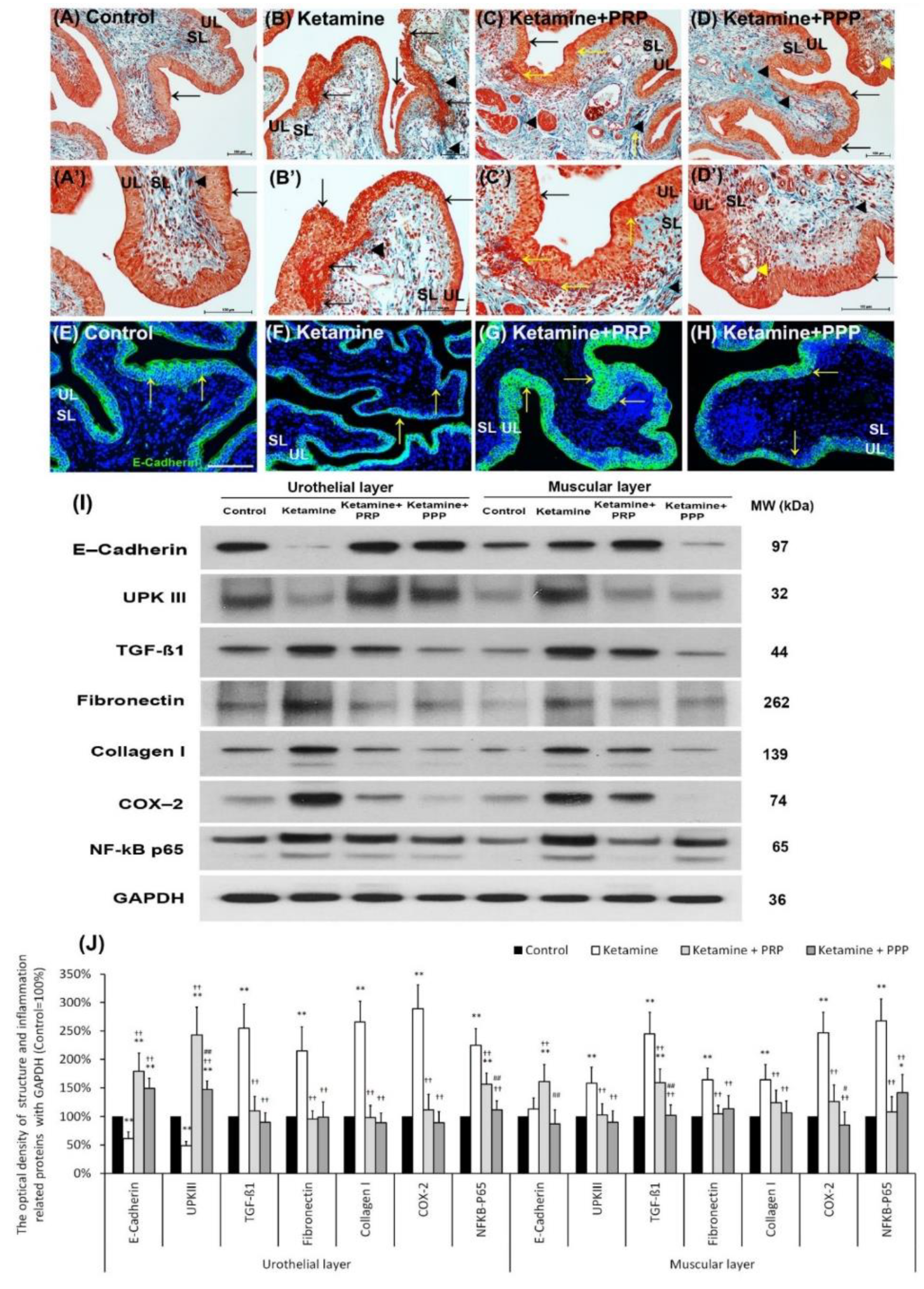 Ijms 23 05771 g002 Ijms 23 05771 g002