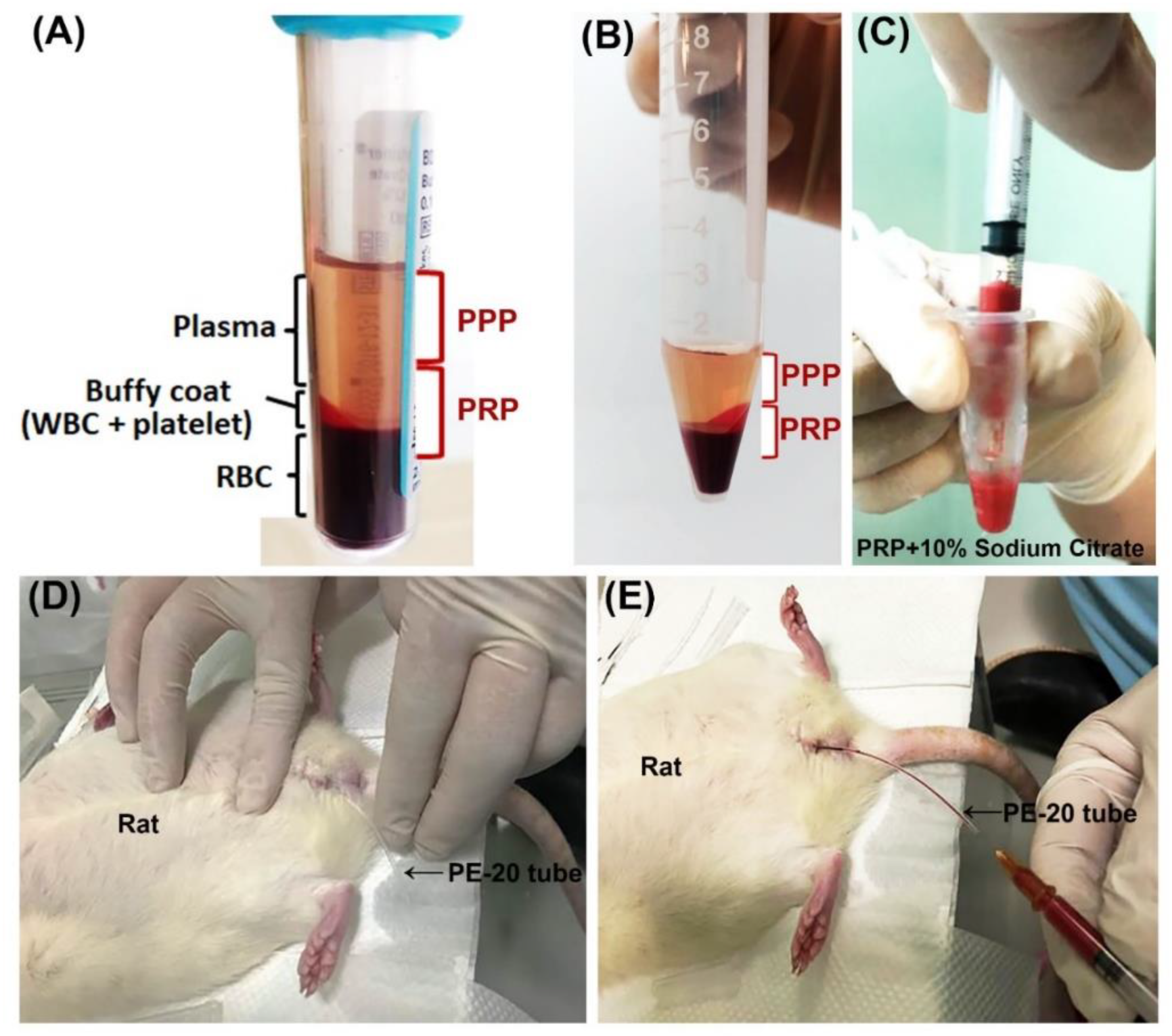 Ijms 23 05771 g008 Ijms 23 05771 g008